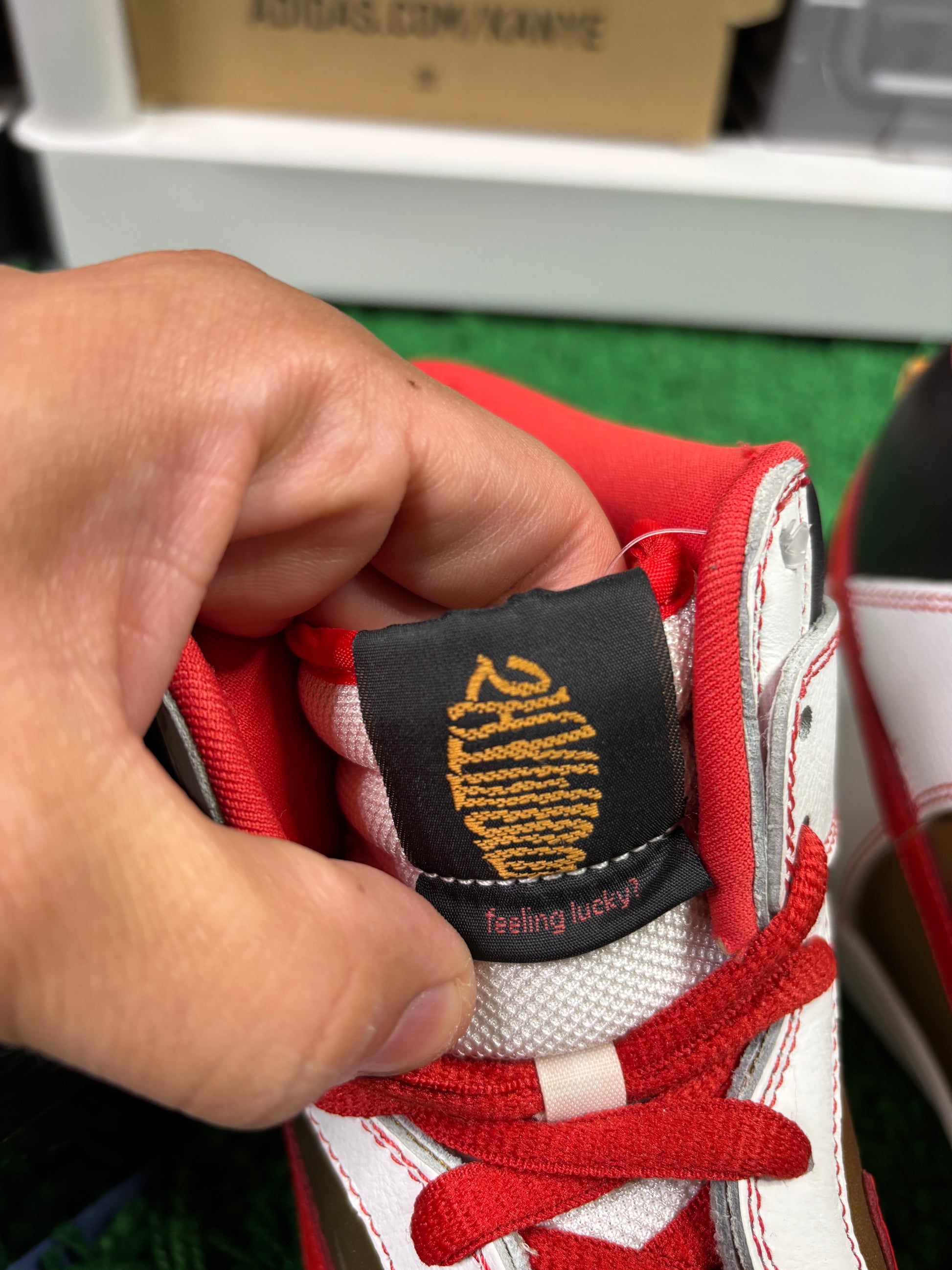 Nike Sb Money Cat Set - Size 10