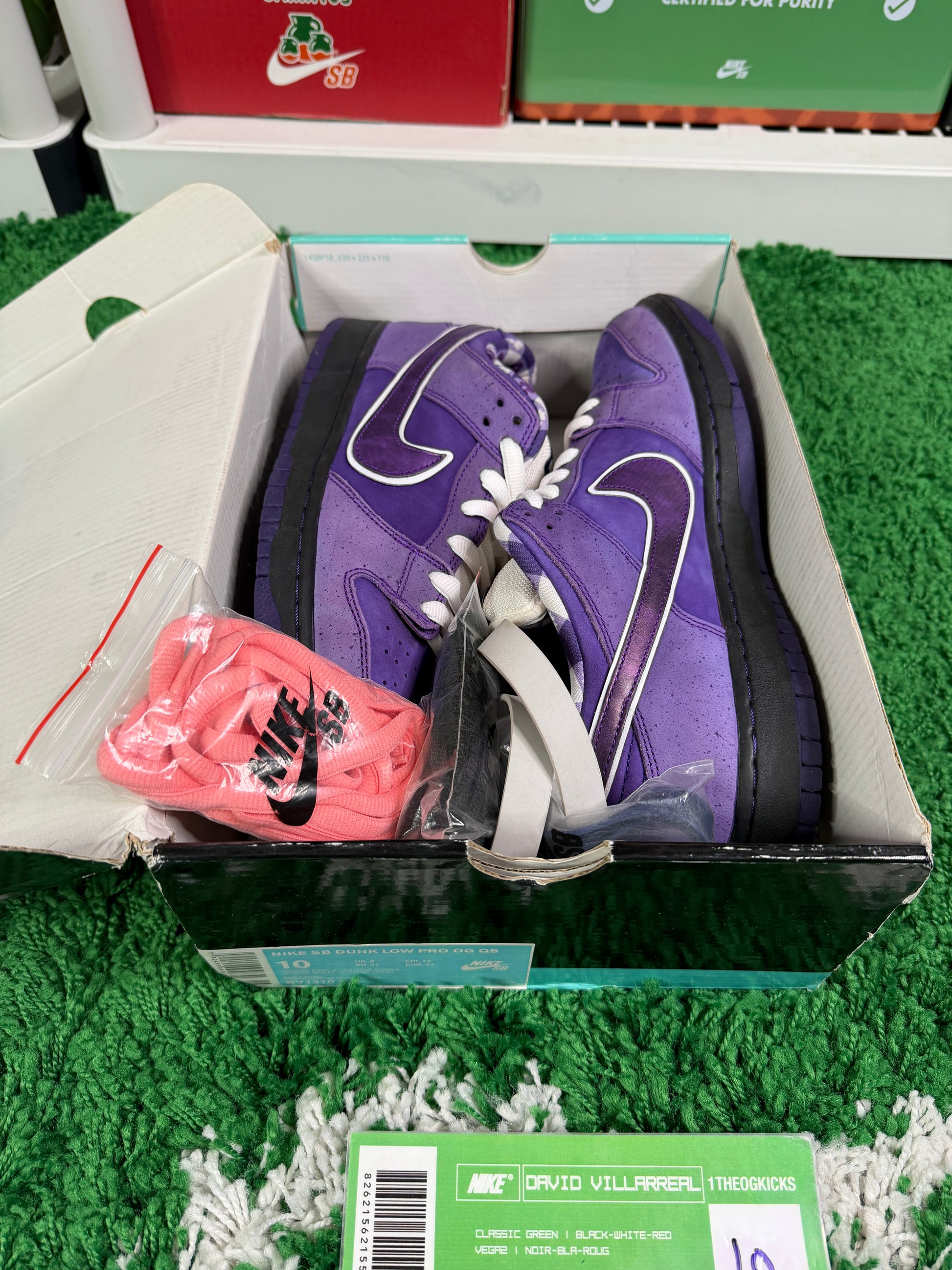 Nike Sb Purple Lobsters - Size 10