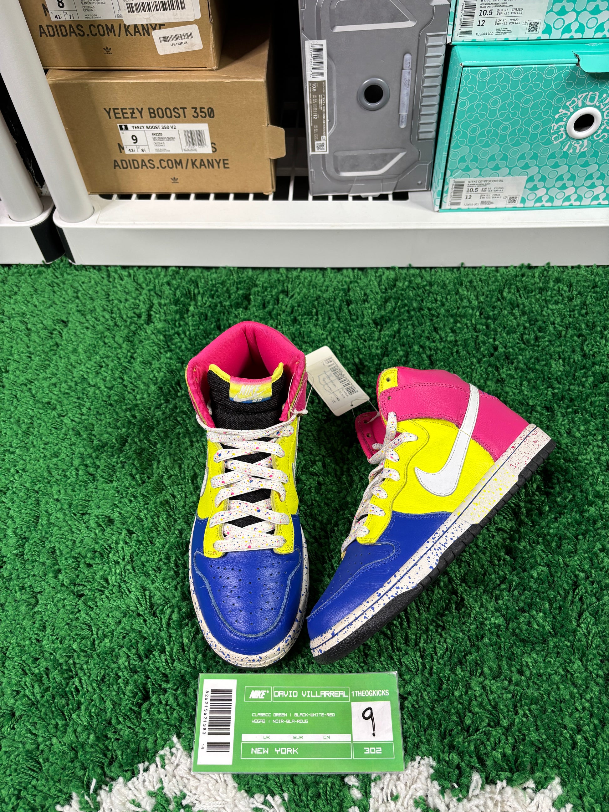Nike Sb Ron Cameron Sample Set - Size 9