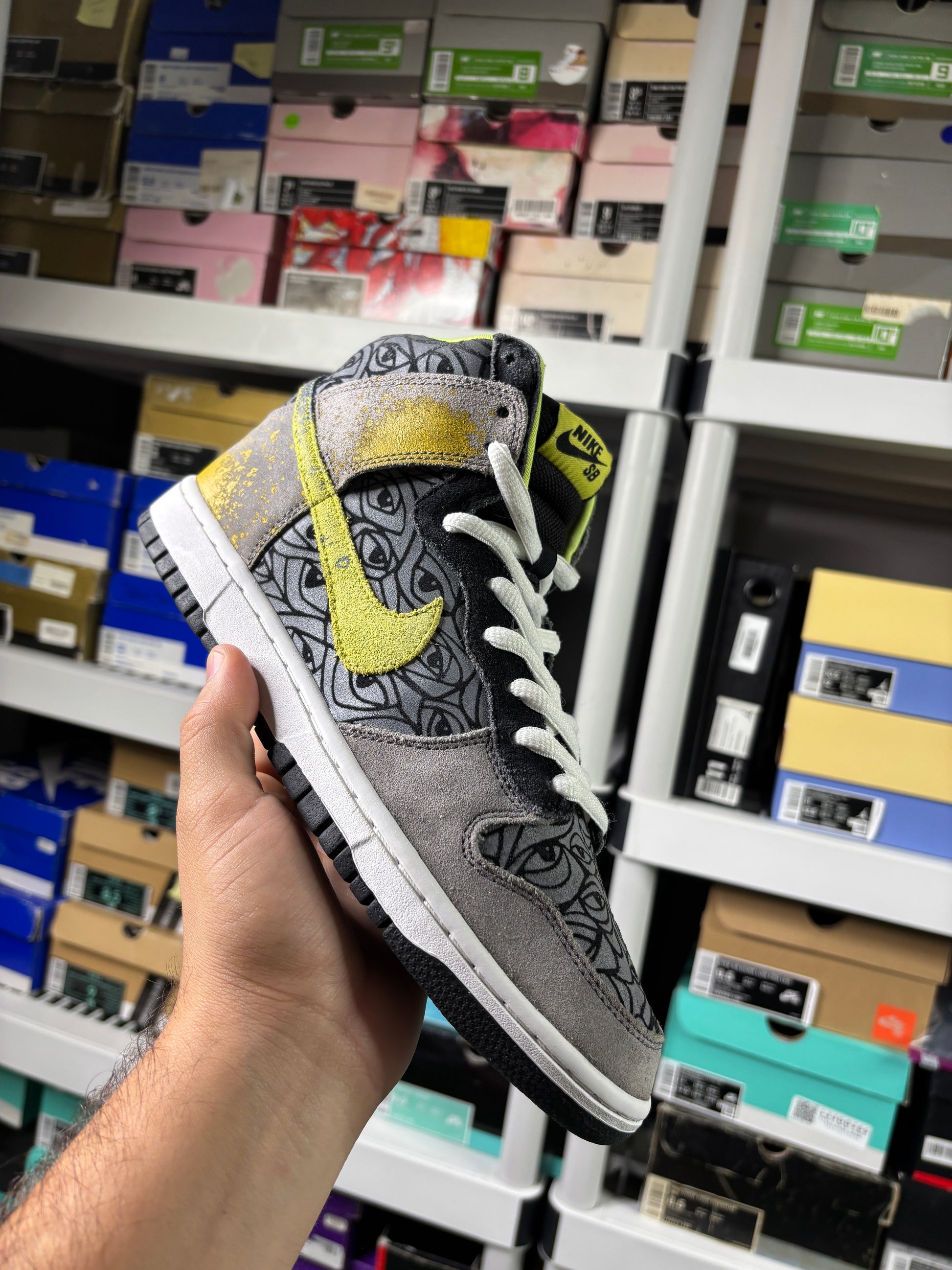 Nike Sb Ron Cameron Sample Set - Size 9