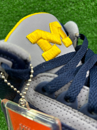 Air Jordan 3 Michigan Wolverines PE Sample - Size 12