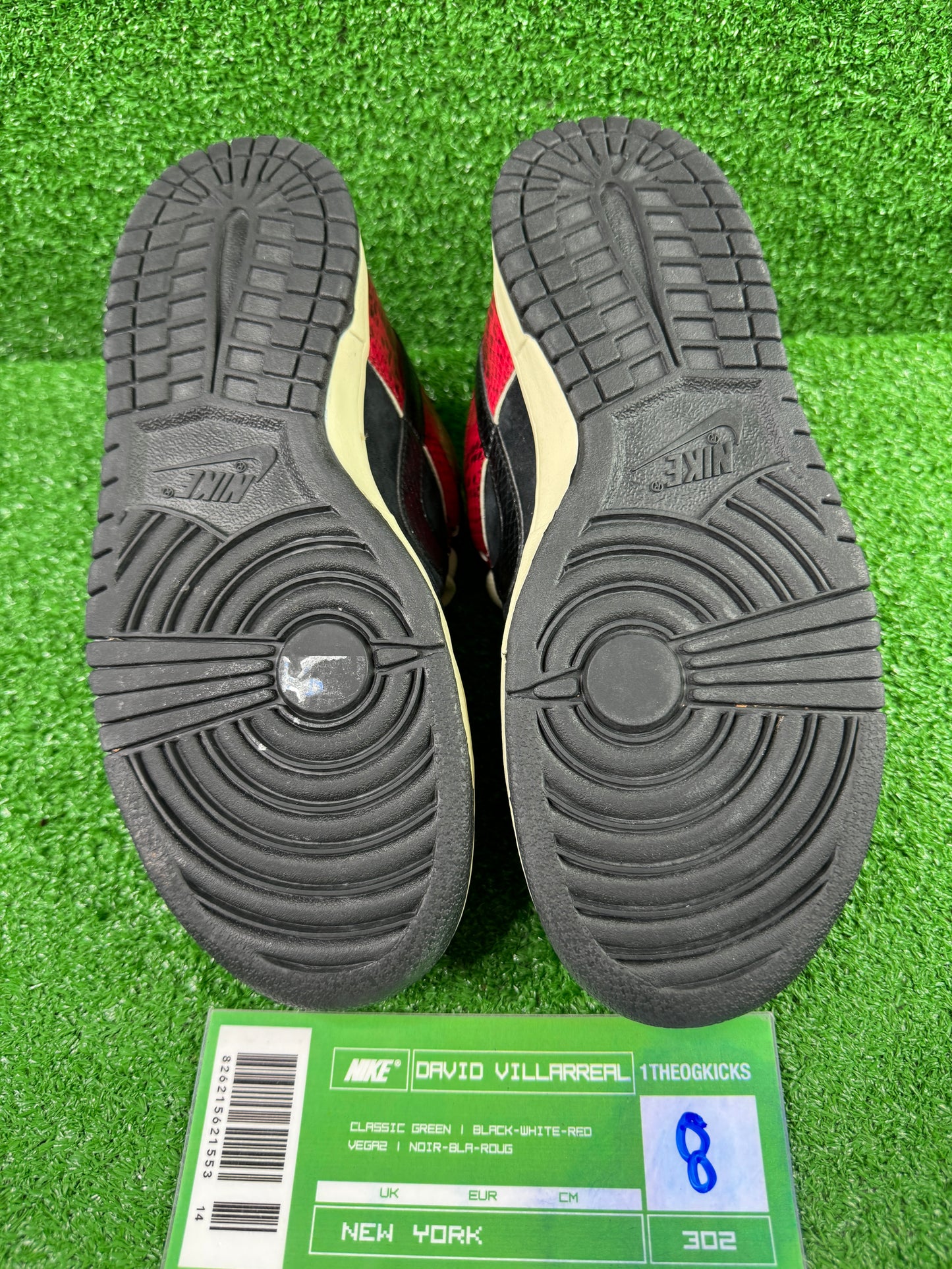 Nike Sb Snakeskin - Size 8