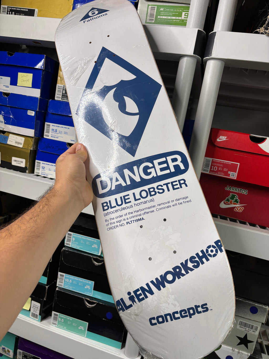 Nike Sb Blue Lobster Skateboard Deck