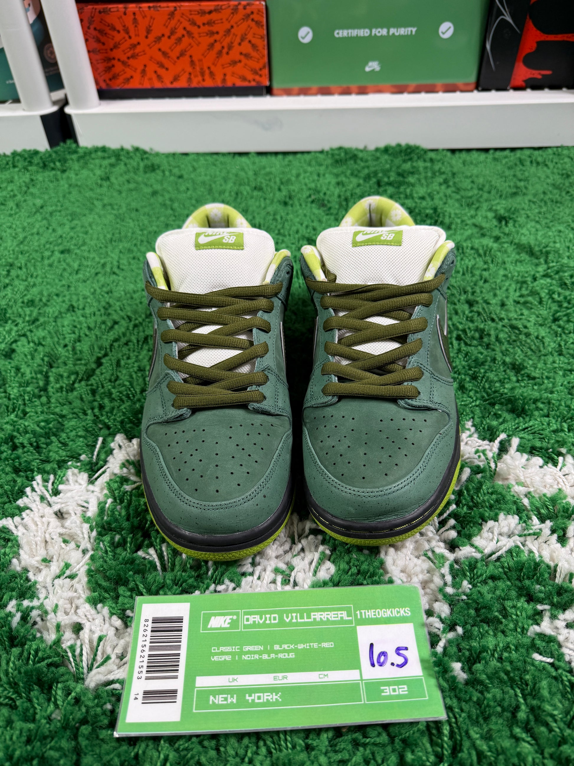 Nike Sb Green Lobsters Special Box - Size 10.5