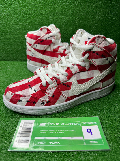 Nike Sb Picnic - Size 9