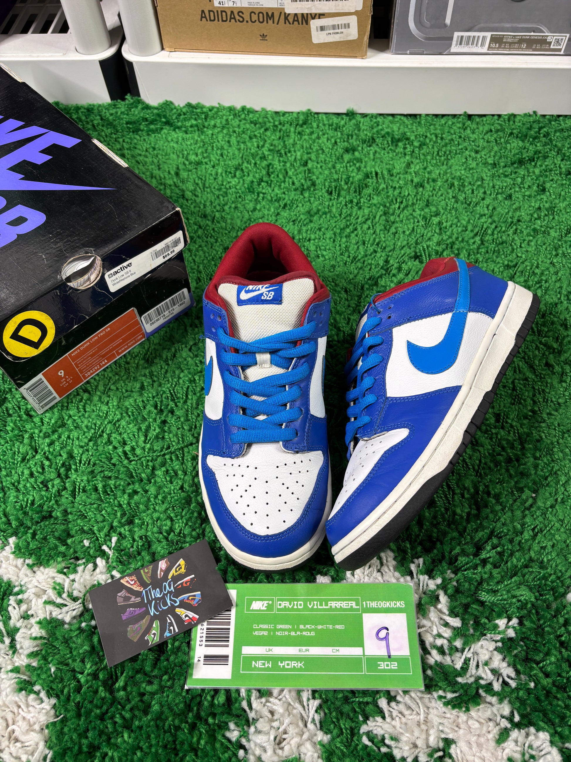 Nike Sb Neptunes - Size 9