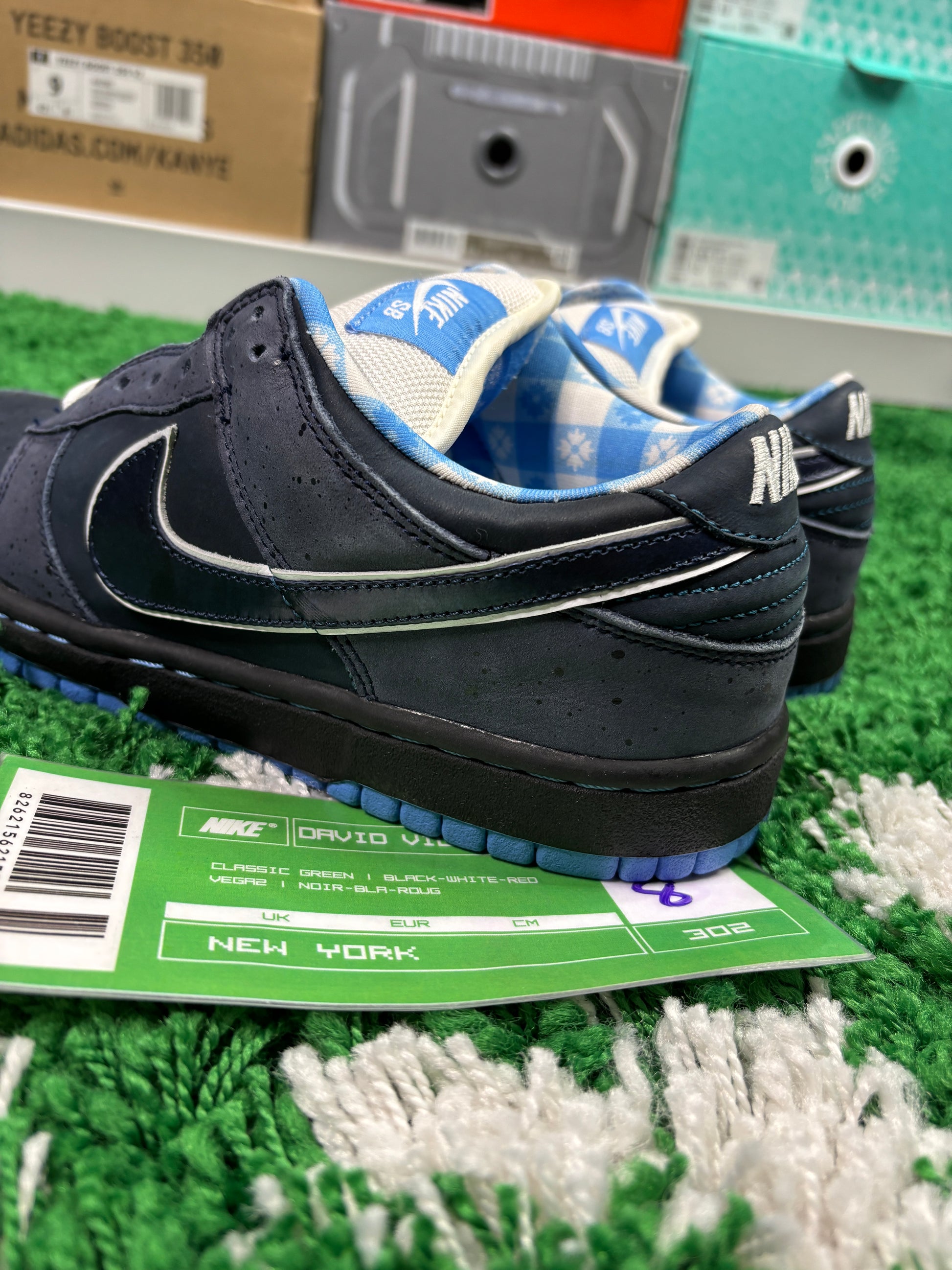 Nike Sb Blue Lobsters - Size 8