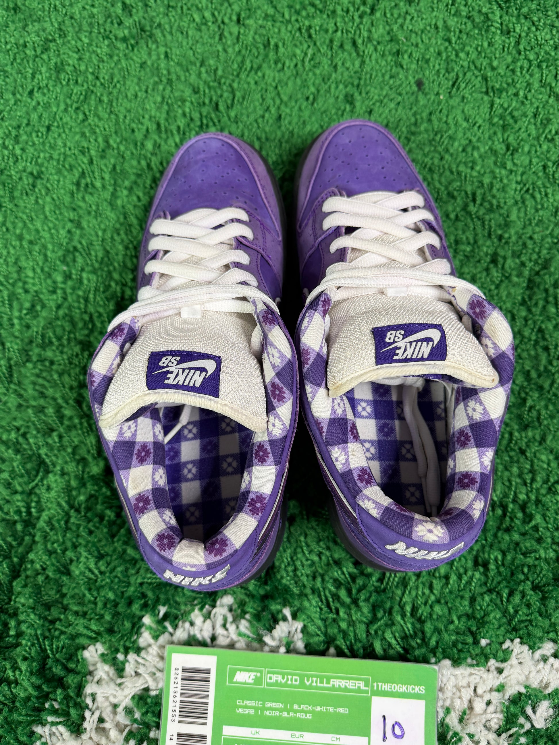 Nike Sb Purple Lobsters - Size 10