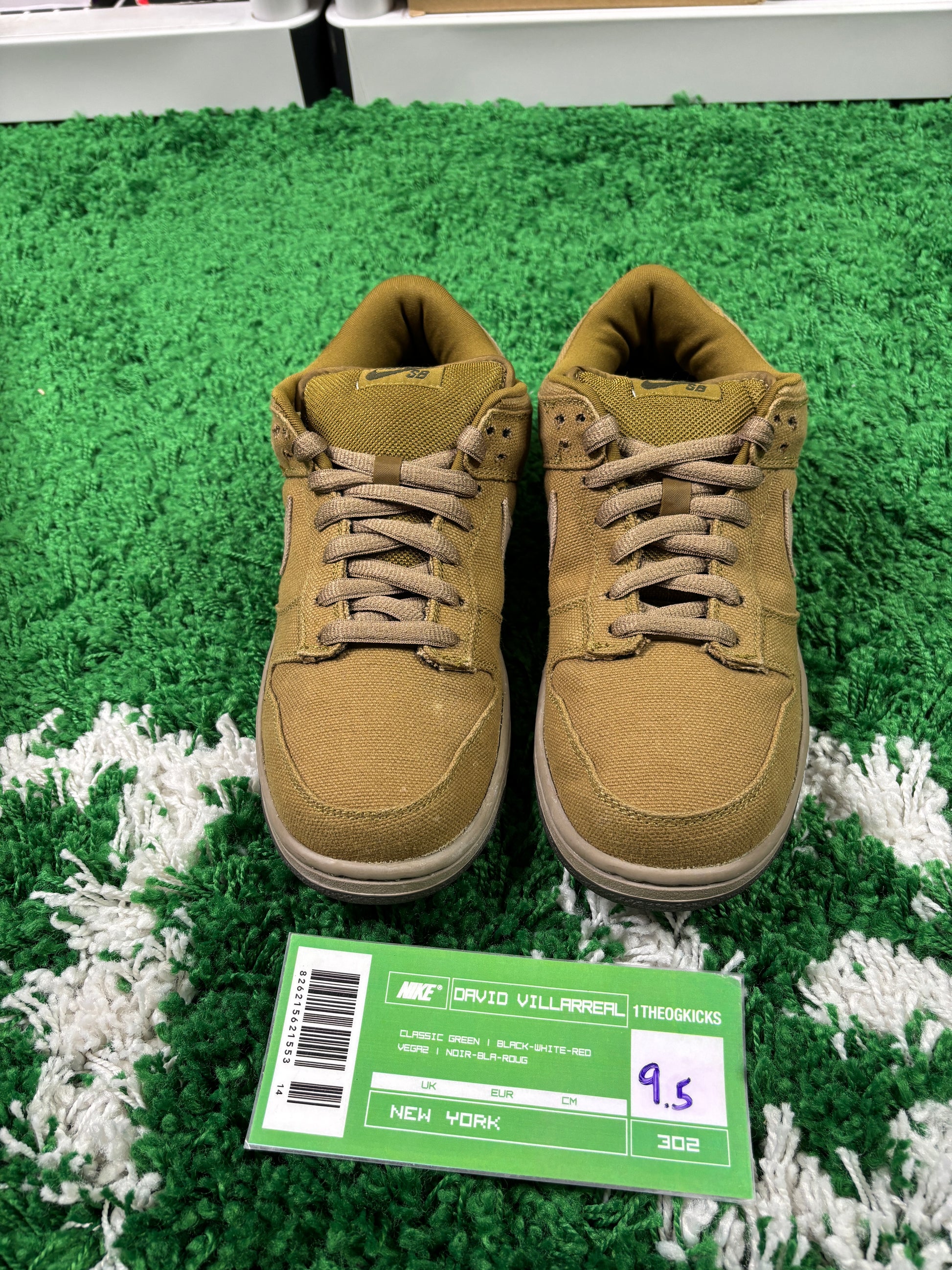 Nike Sb Spanish Moss - Size 9.5