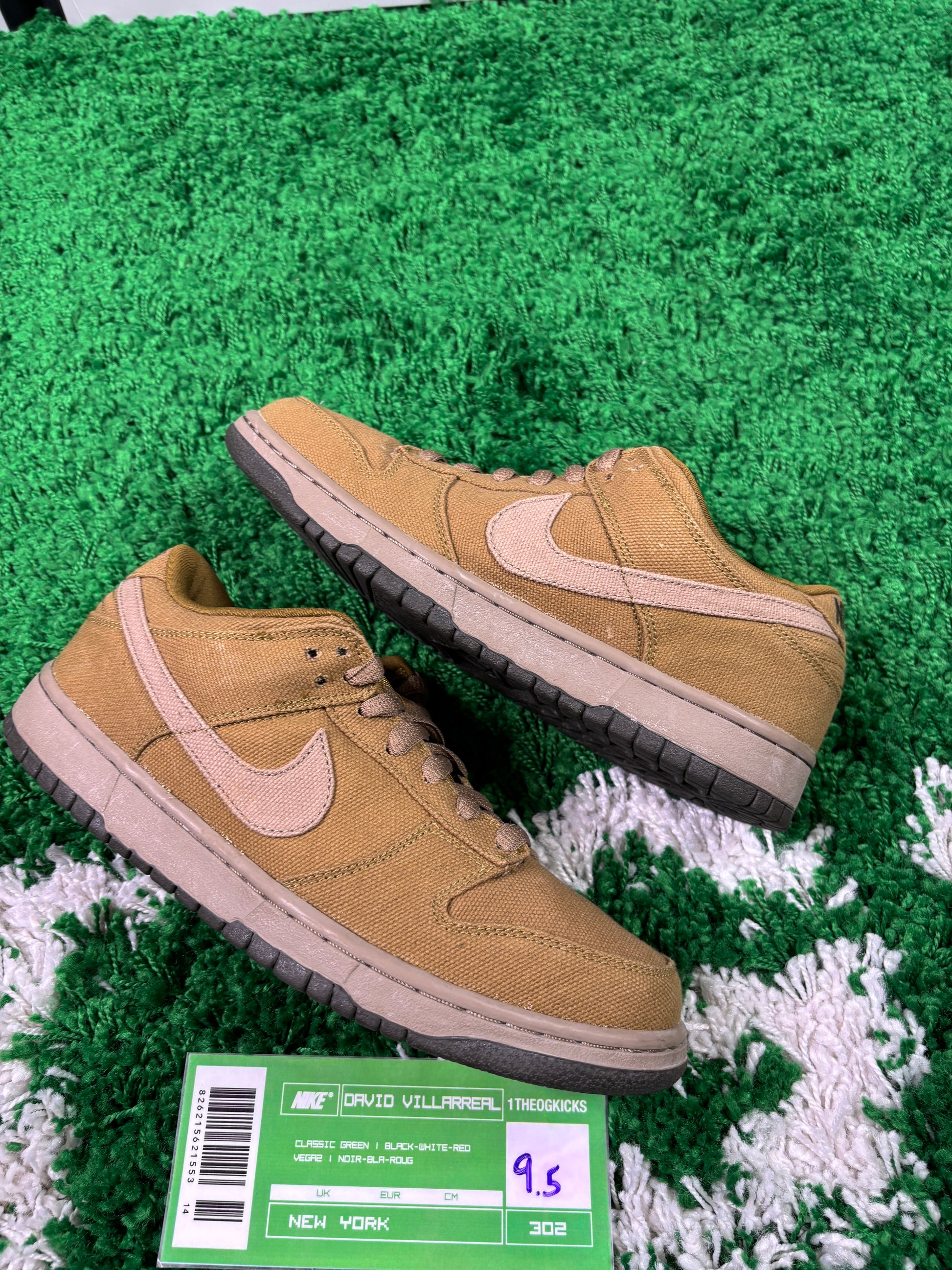 Nike Sb Spanish Moss - Size 9.5