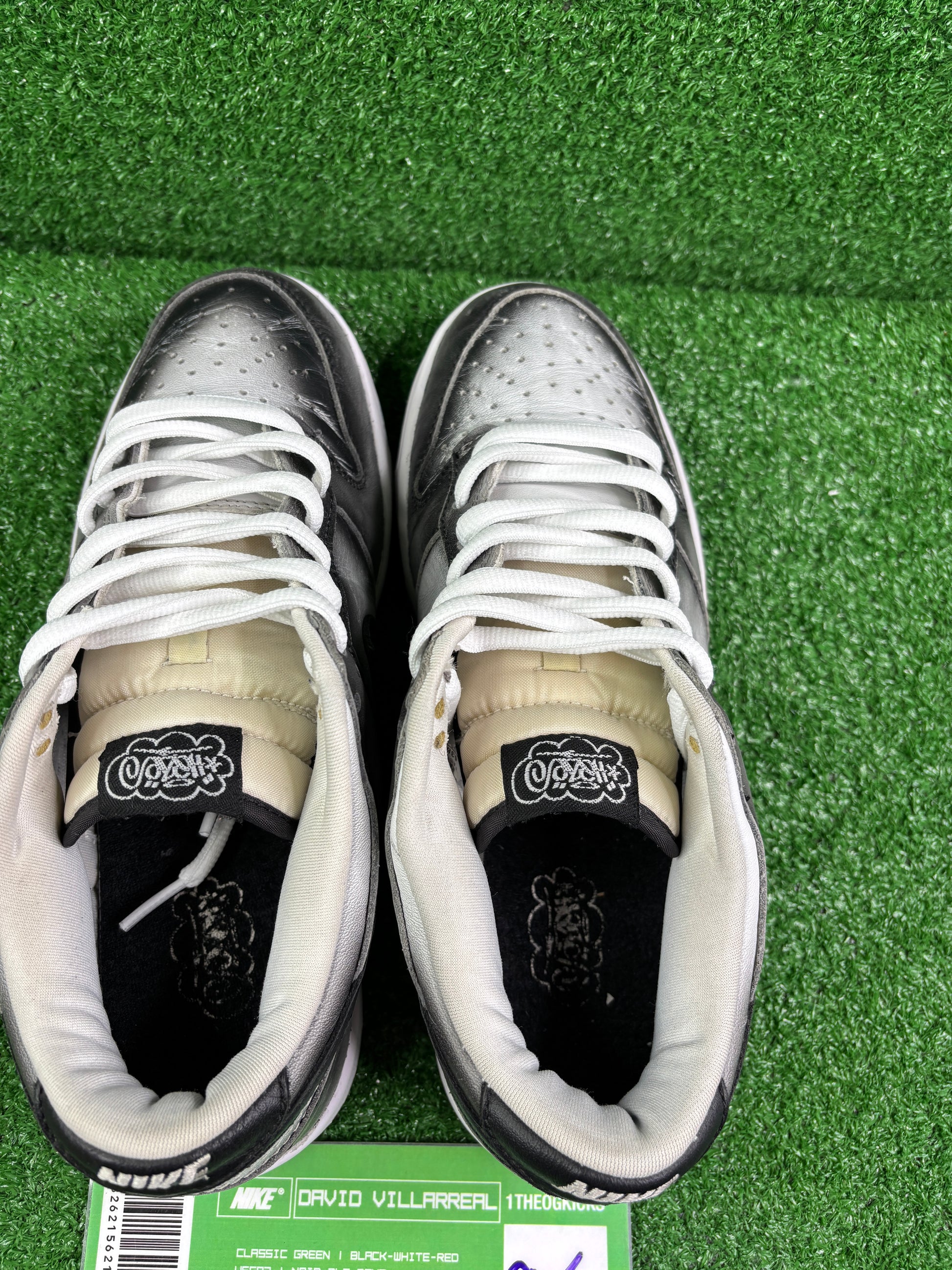 Nike Haze Friends and Family - Size 8.5