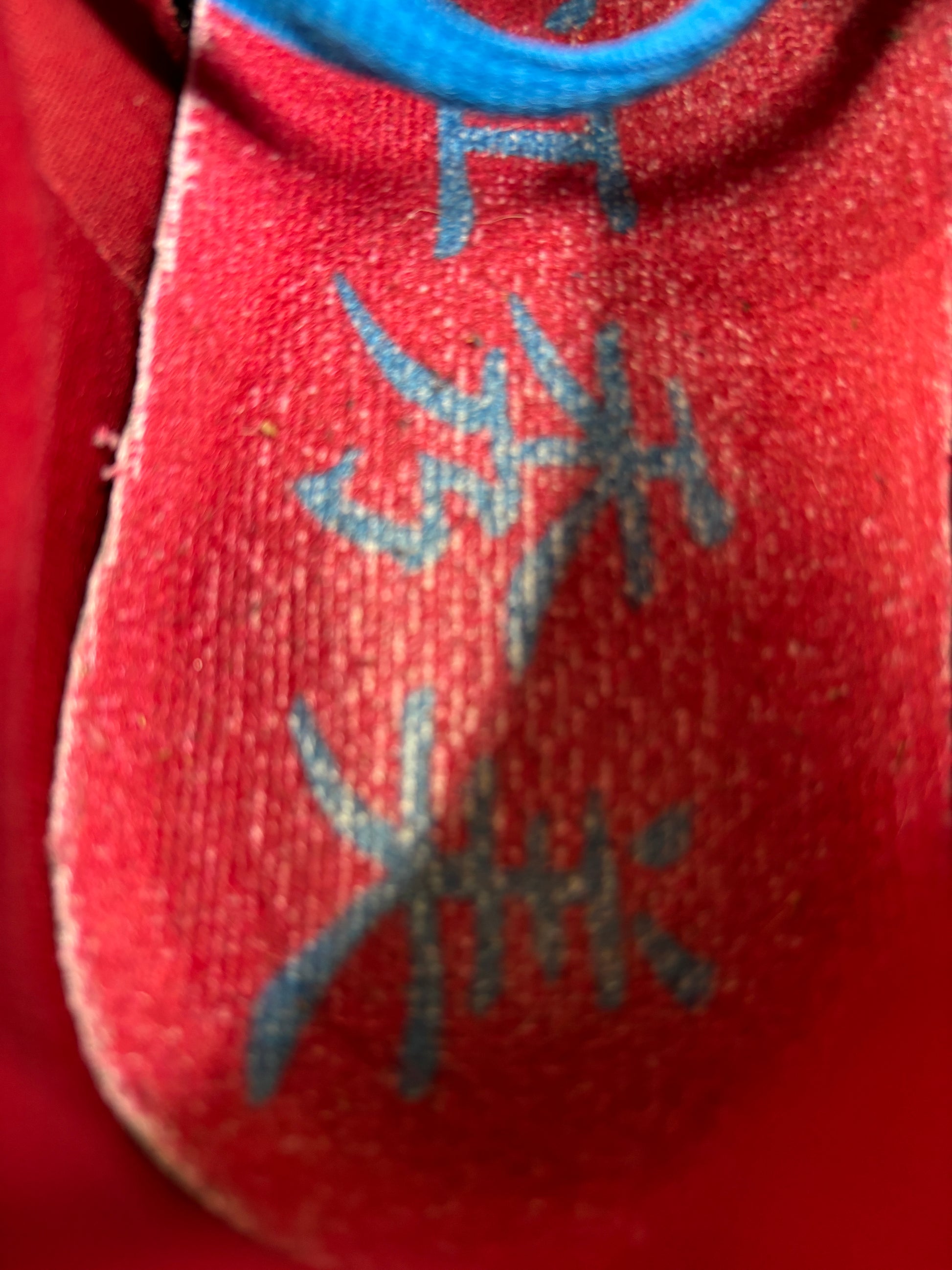 Nike Sb Neptune - Size 12.5