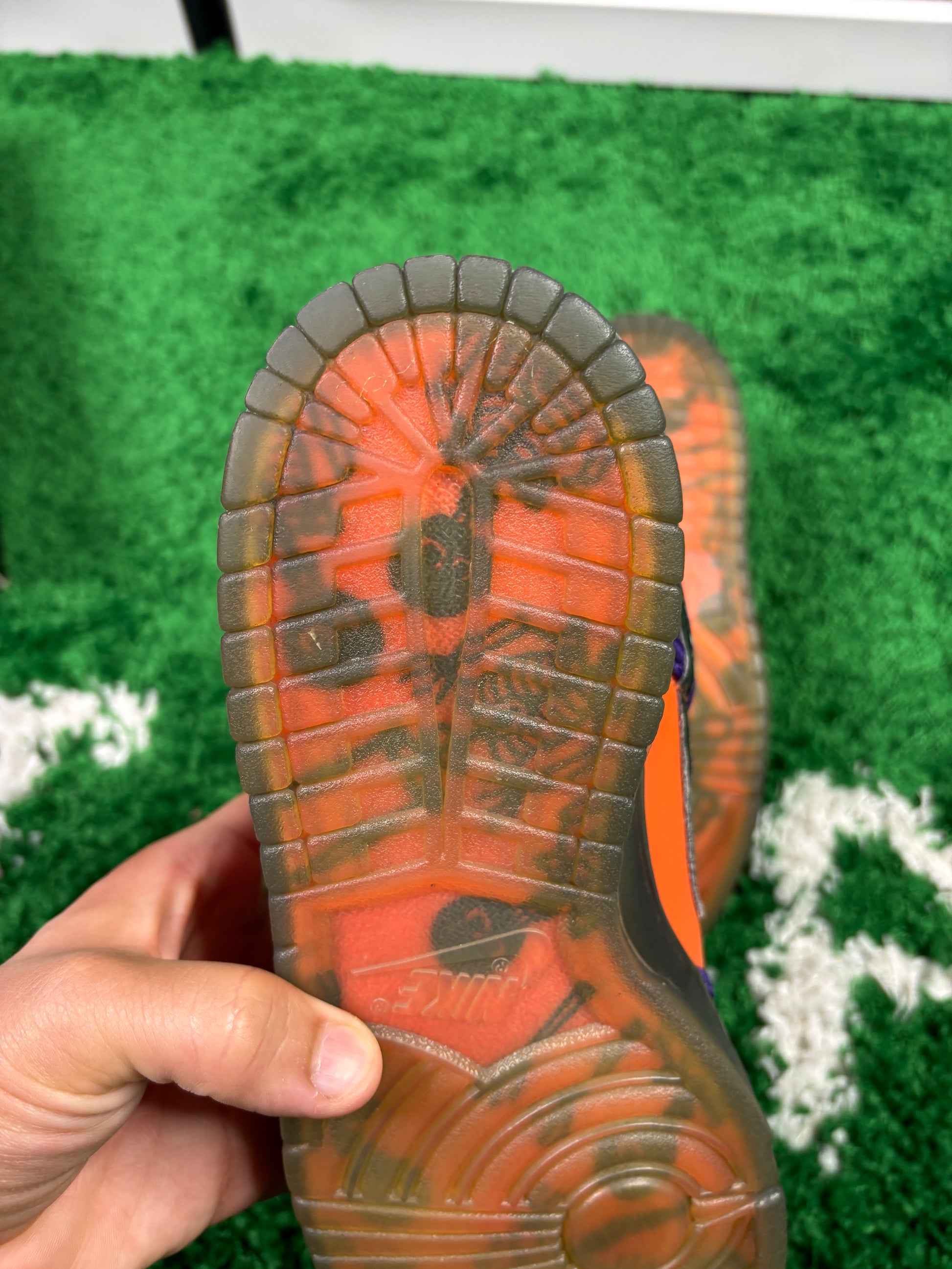 Nike Sb Day of the Dead's - Size 10