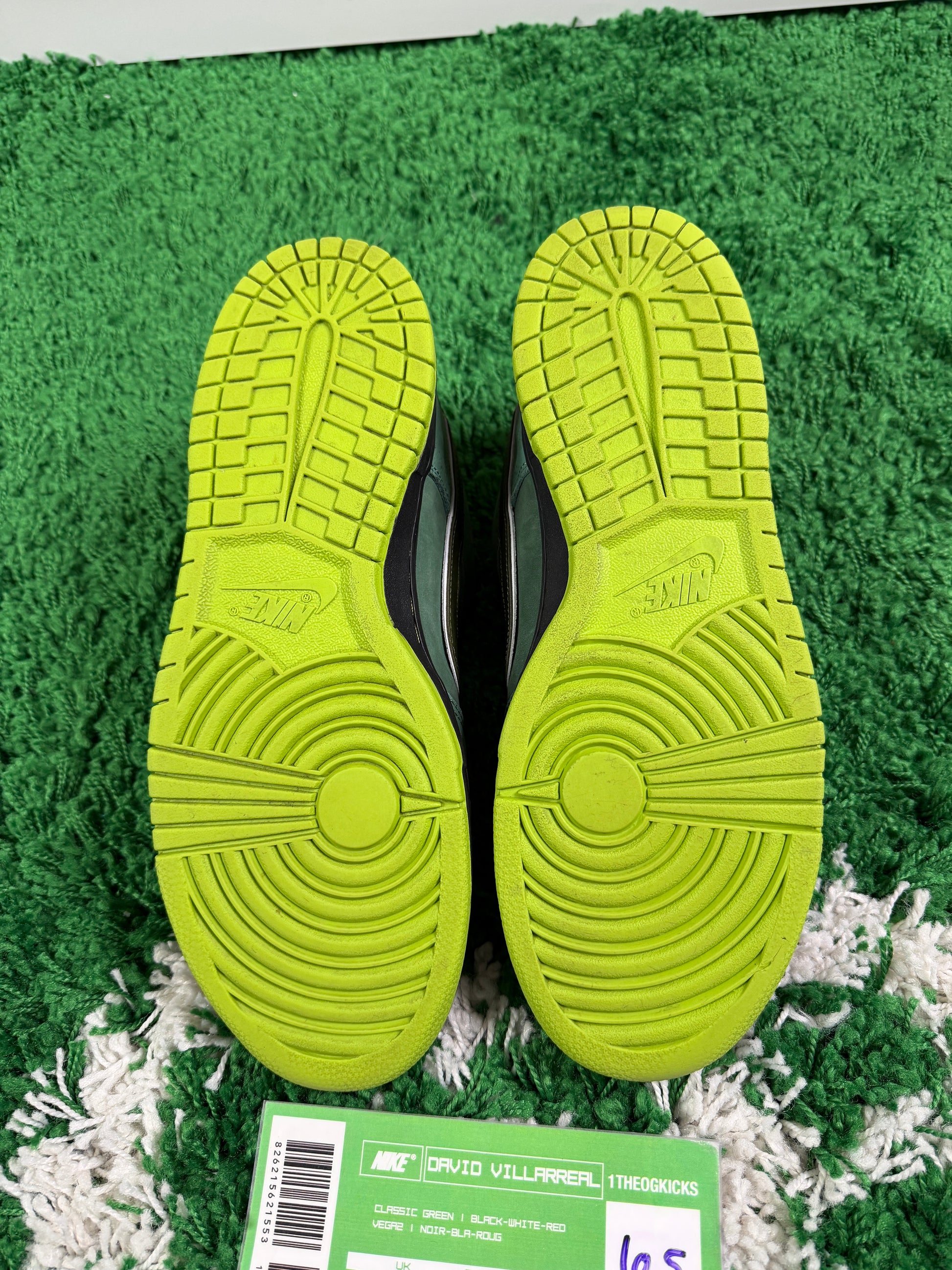 Nike Sb Green Lobsters Special Box - Size 10.5