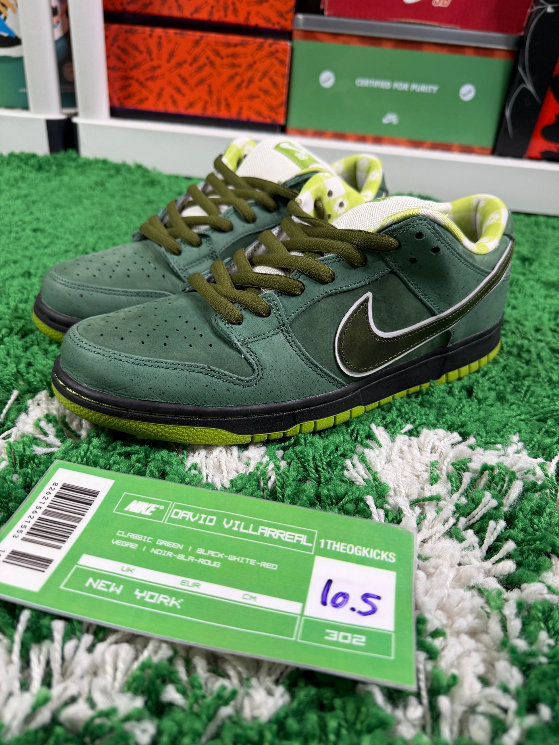 Nike Sb Green Lobsters Special Box - Size 10.5