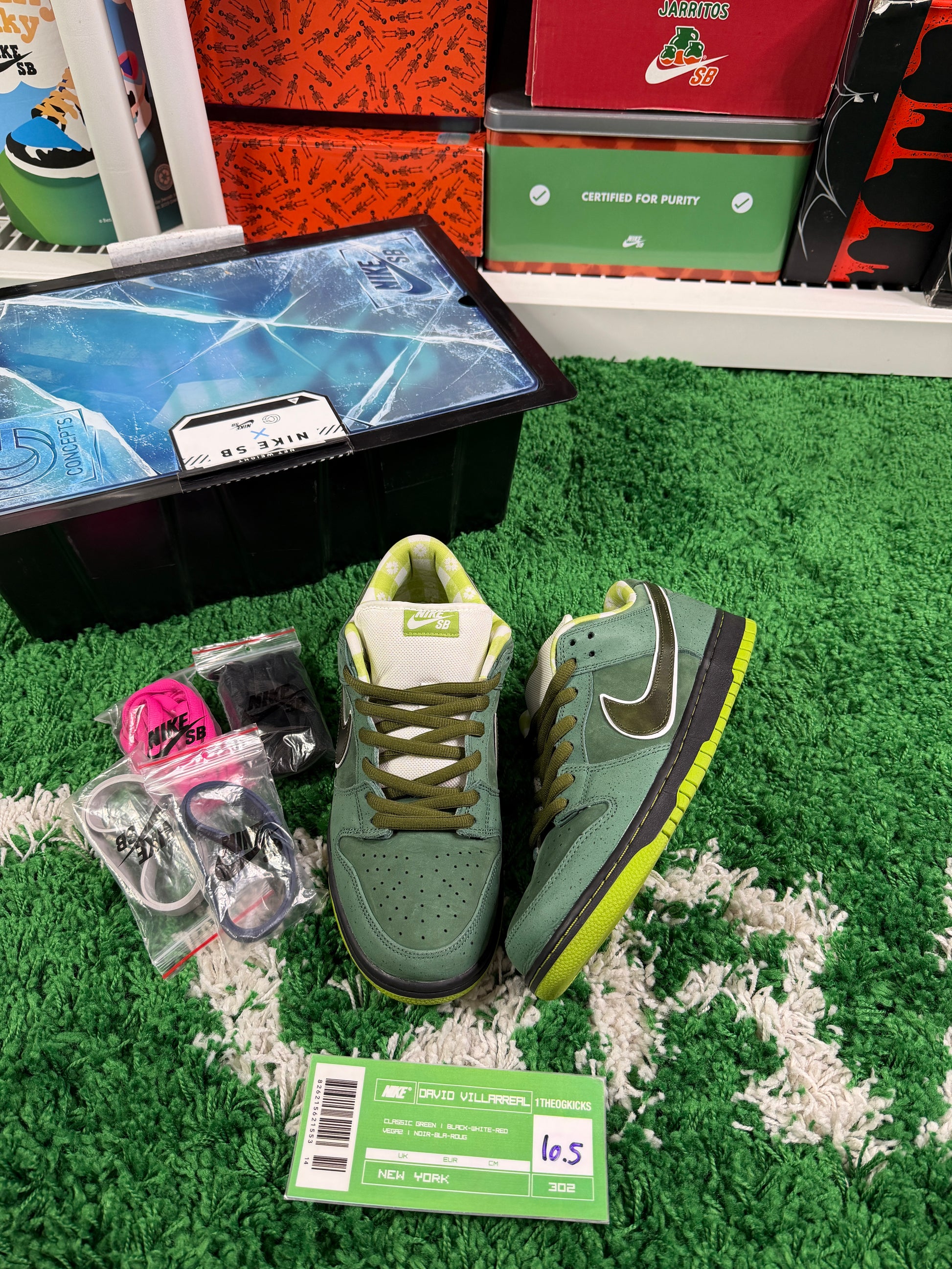 Nike Sb Green Lobsters Special Box - Size 10.5