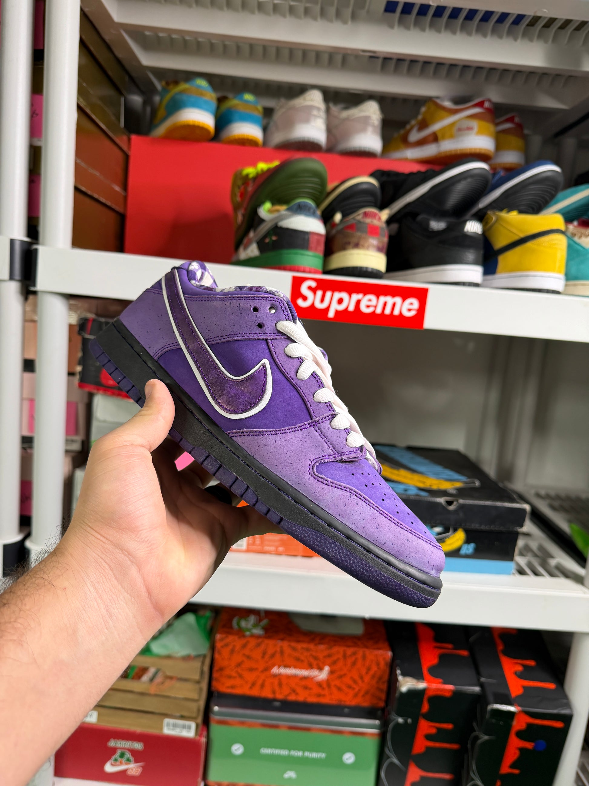 Nike Sb Purple Lobsters - Size 10