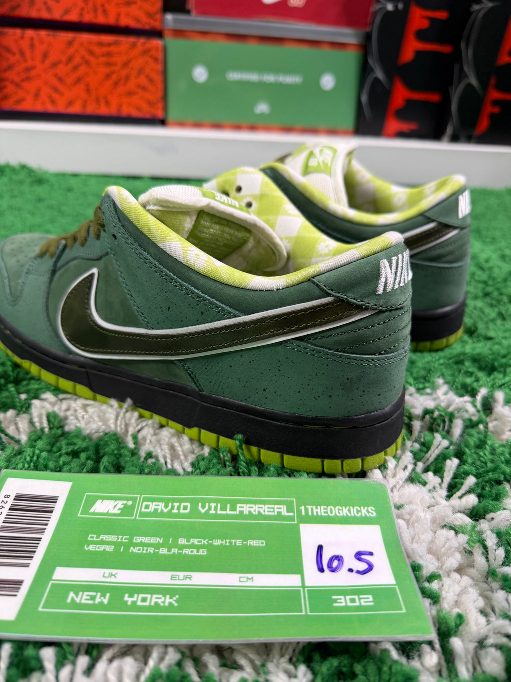 Nike Sb Green Lobsters Special Box - Size 10.5