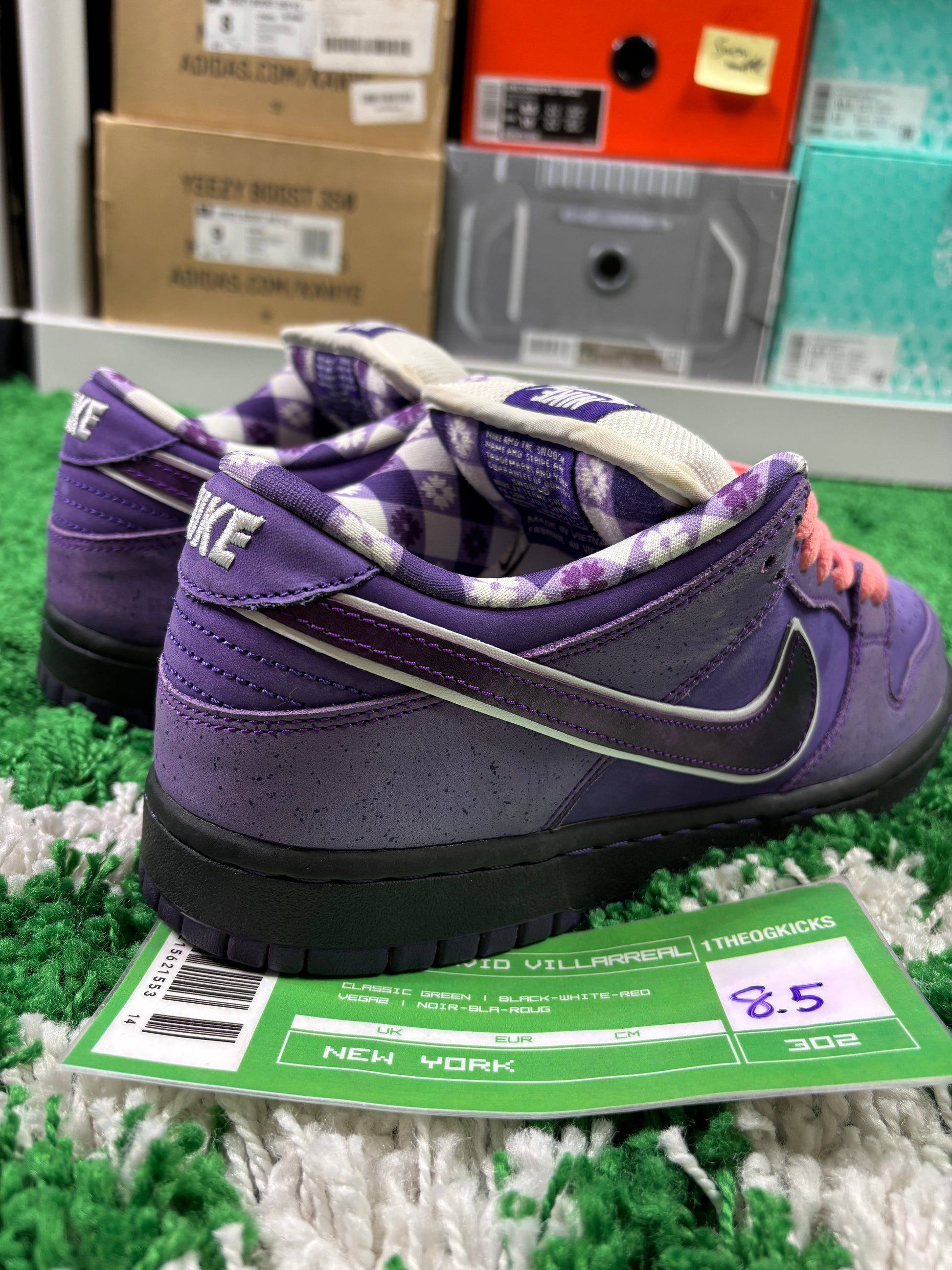 Nike Sb Purple Lobsters - Size 8.5