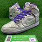 Nike Sb Dinosaur Jr - Size 10