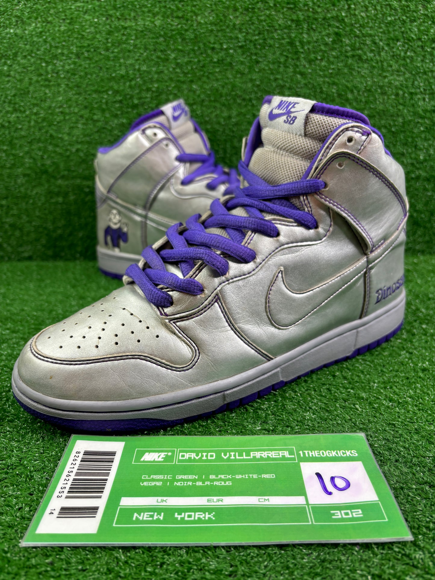 Nike Sb Dinosaur Jr - Size 10