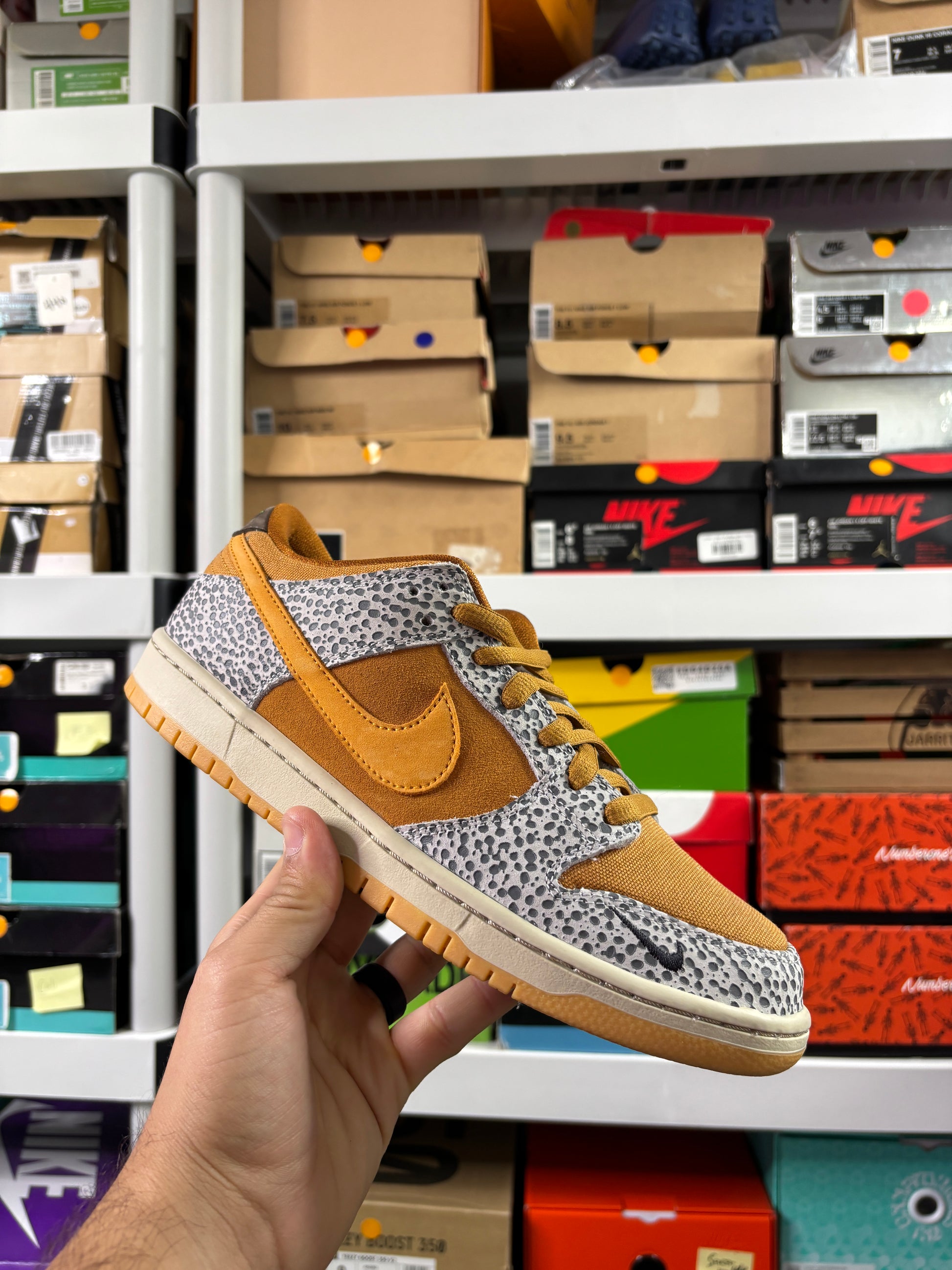 Nike Sb Safari - Size 9