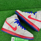 Nike Sb Magnet Grey - Size 8.5