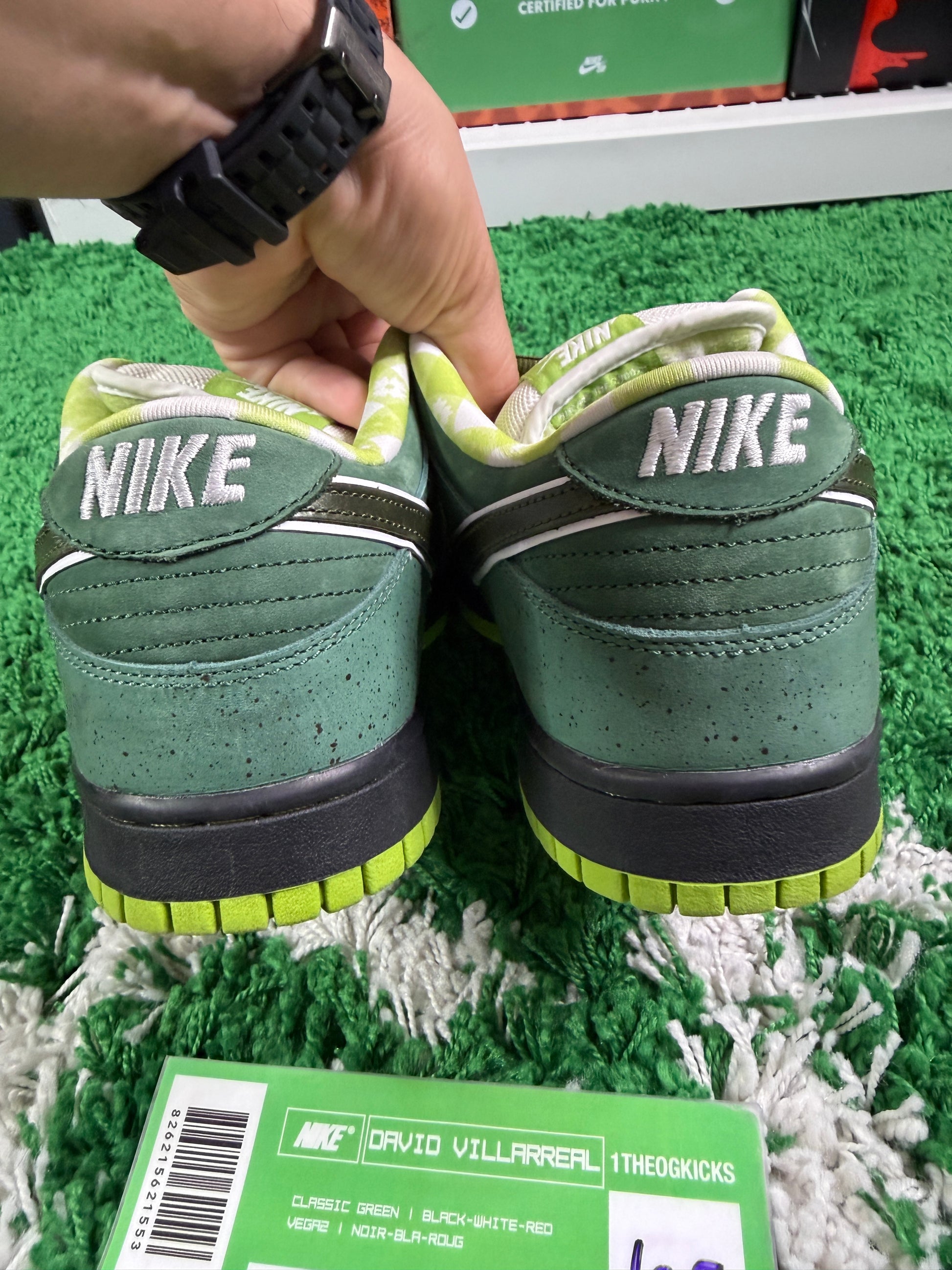 Nike Sb Green Lobsters Special Box - Size 10.5