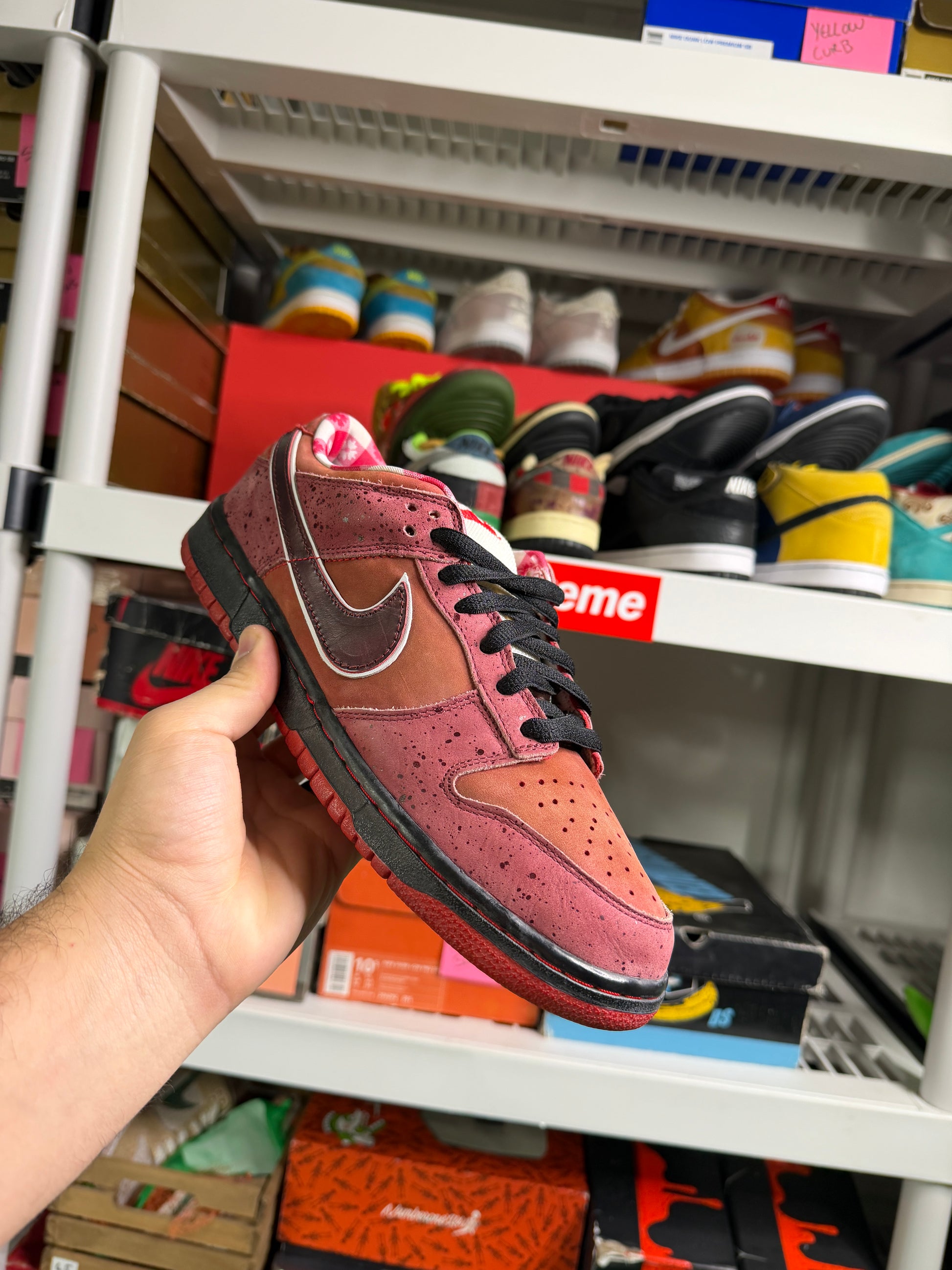 Nike Sb Red Lobsters - Size 9