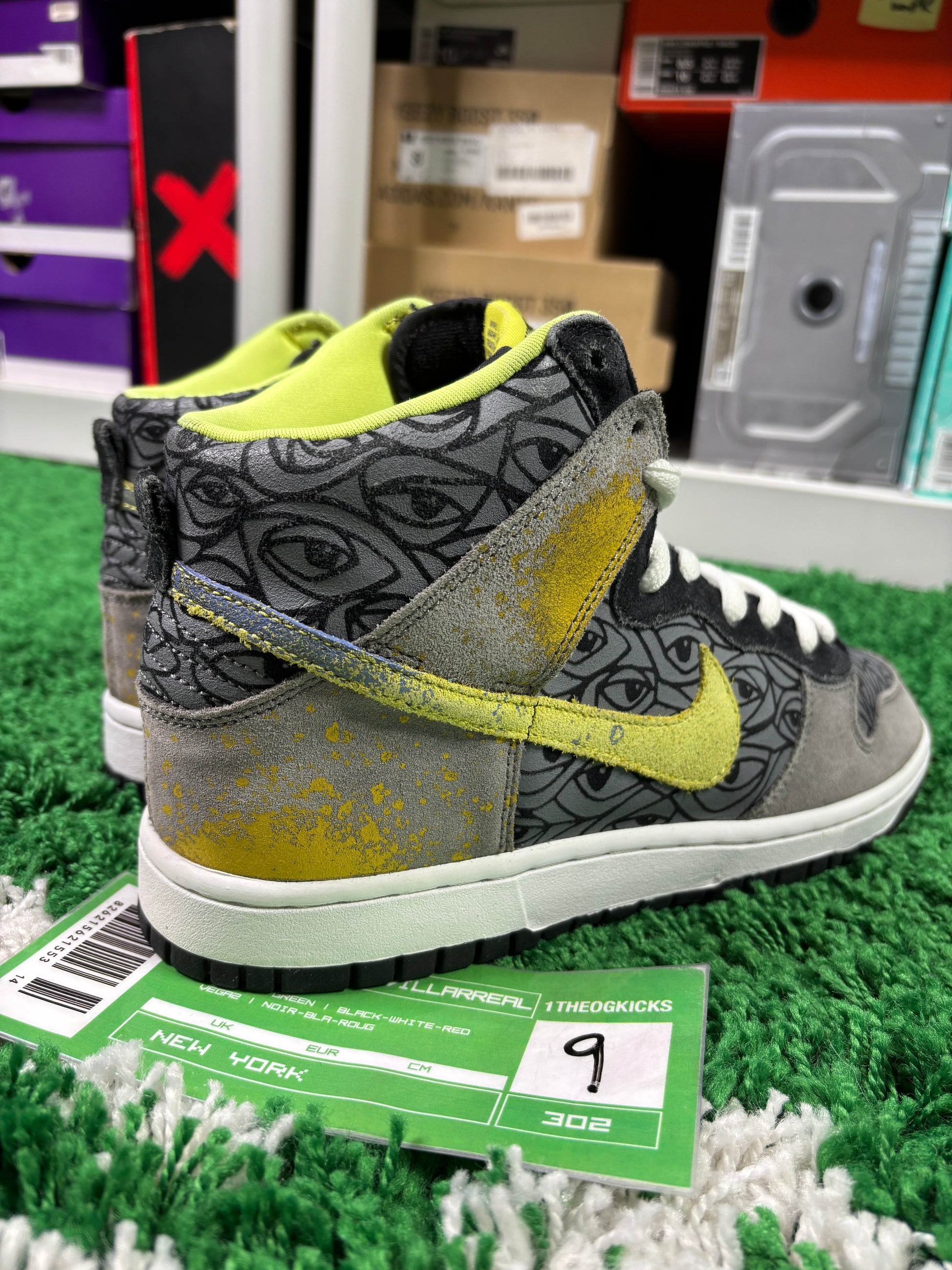 Nike Sb Ron Cameron Sample Set - Size 9