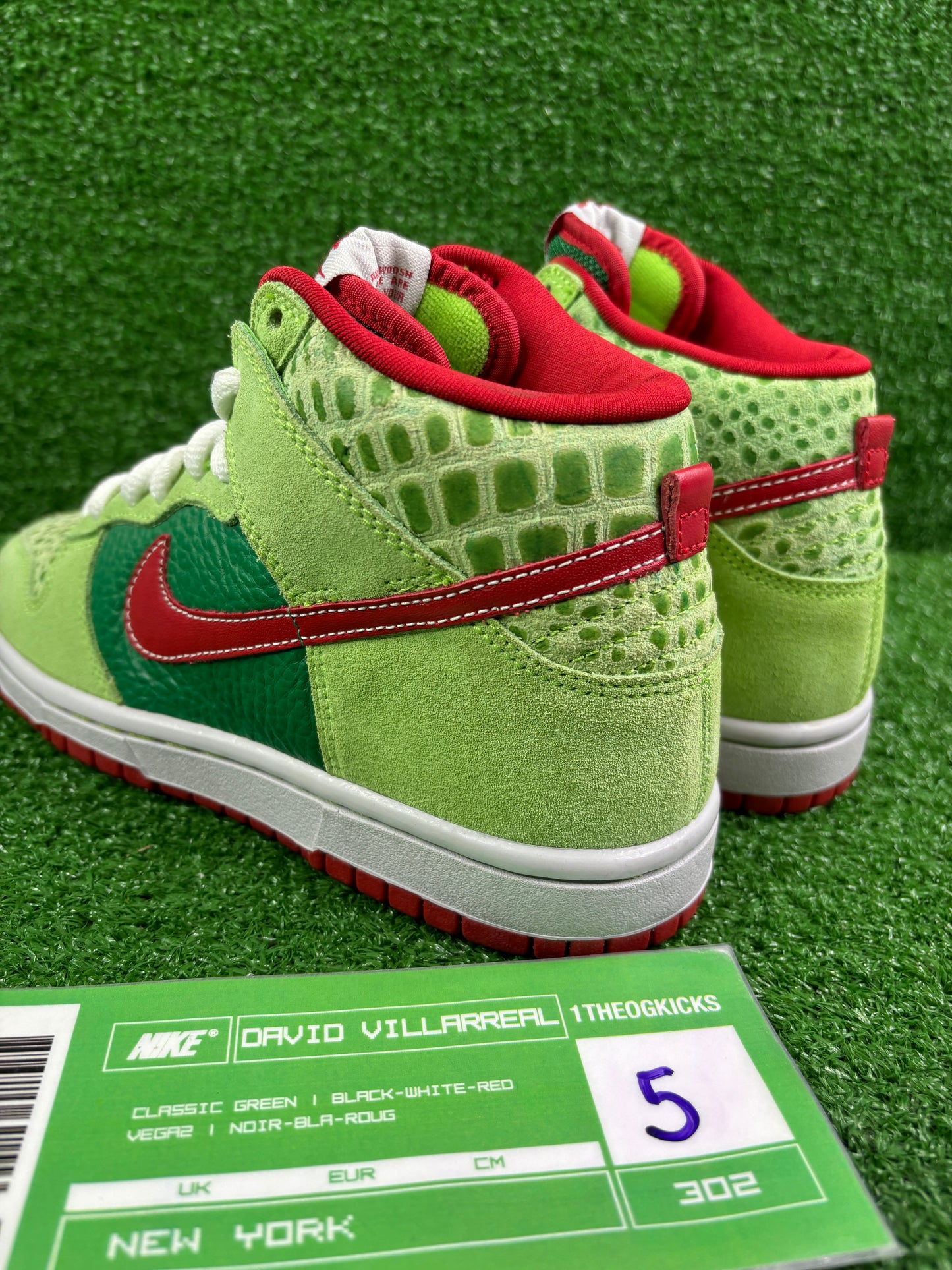 Nike Sb Dr. Feel Goods- Size 5