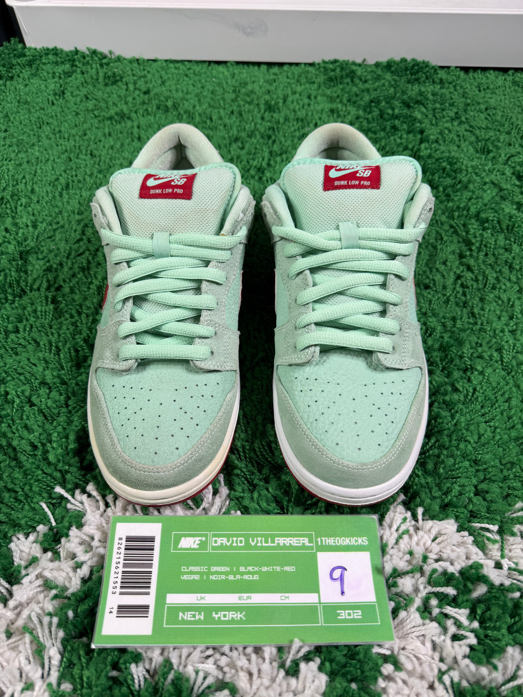 Nike Sb Green Mint Red - Size 9