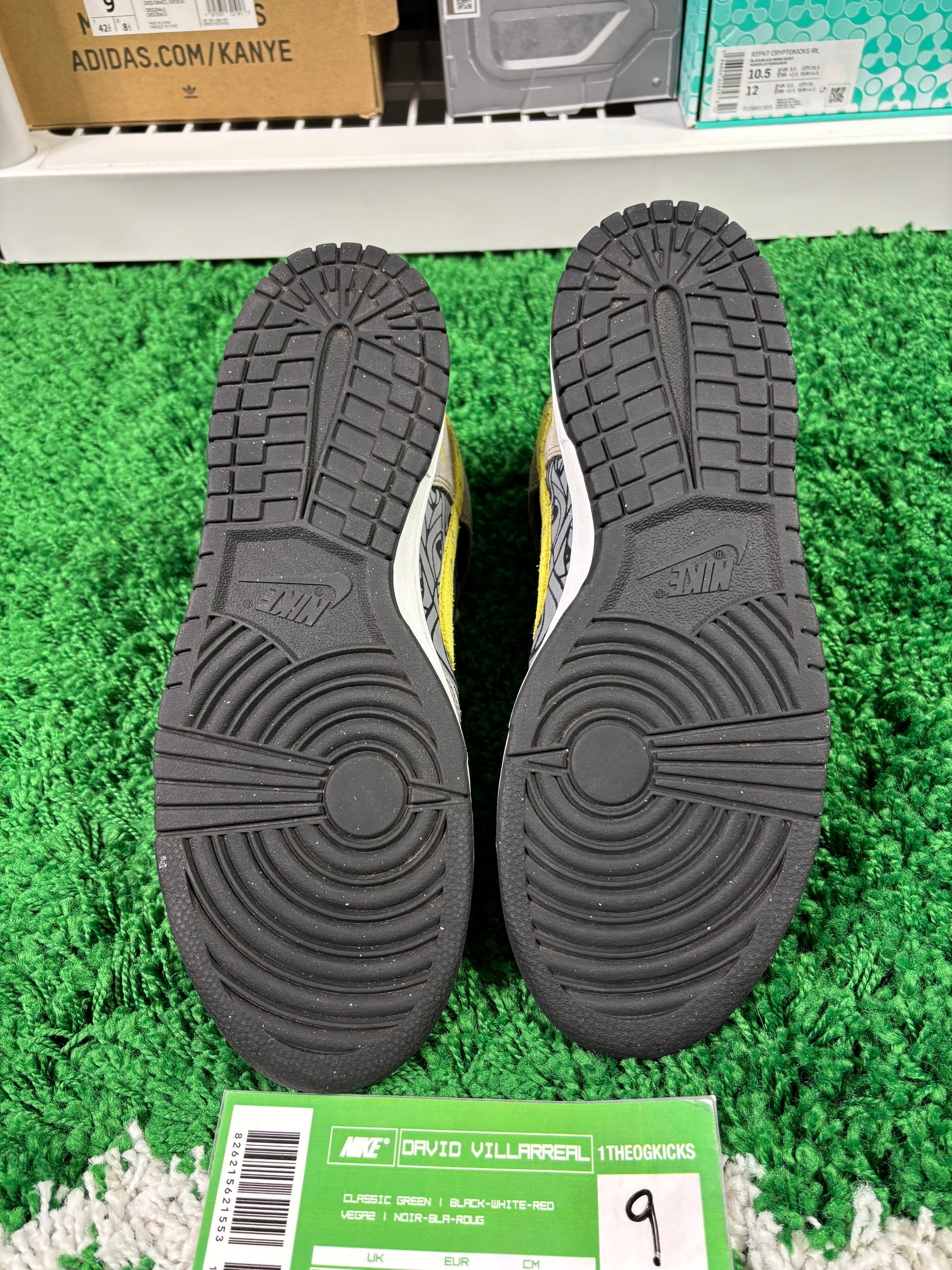 Nike Sb Ron Cameron Sample Set - Size 9