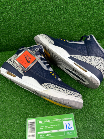 Air Jordan 3 Michigan Wolverines PE Sample - Size 12