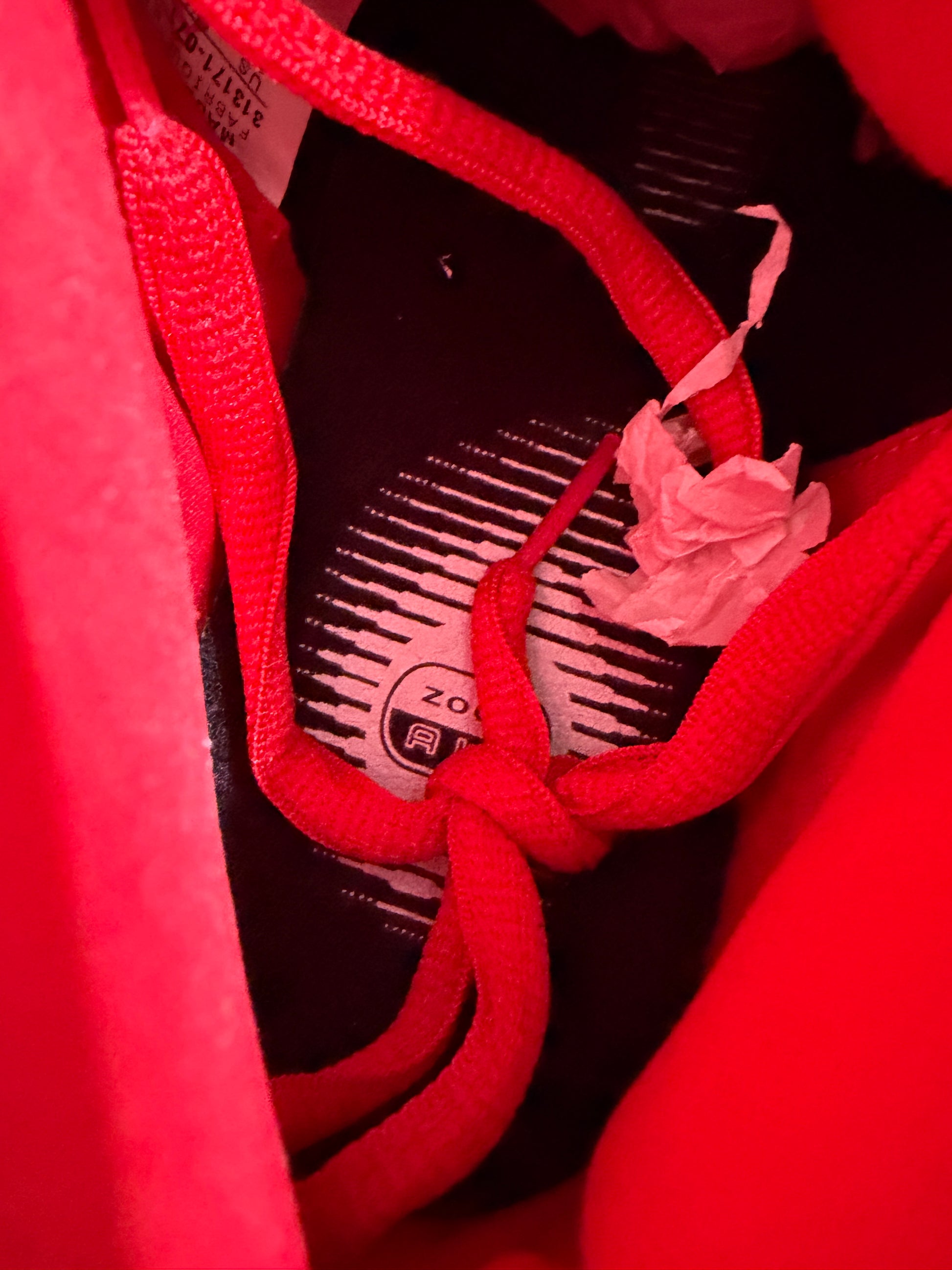 Nike Sb Marshall Amps - Size 10