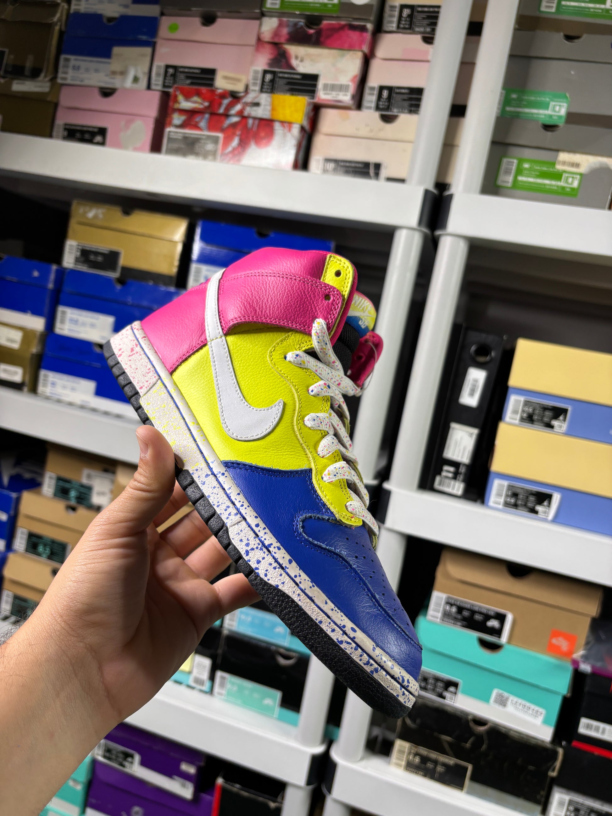 Nike Sb Ron Cameron Sample Set - Size 9