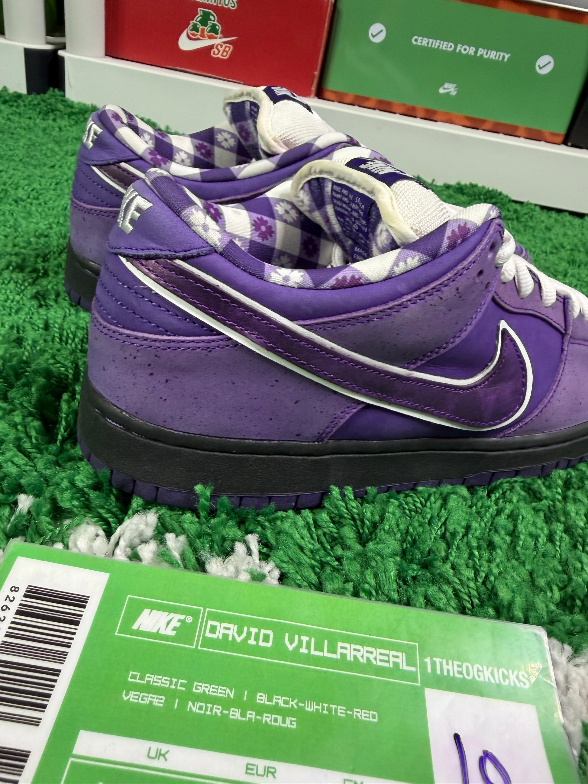 Nike Sb Purple Lobsters - Size 10