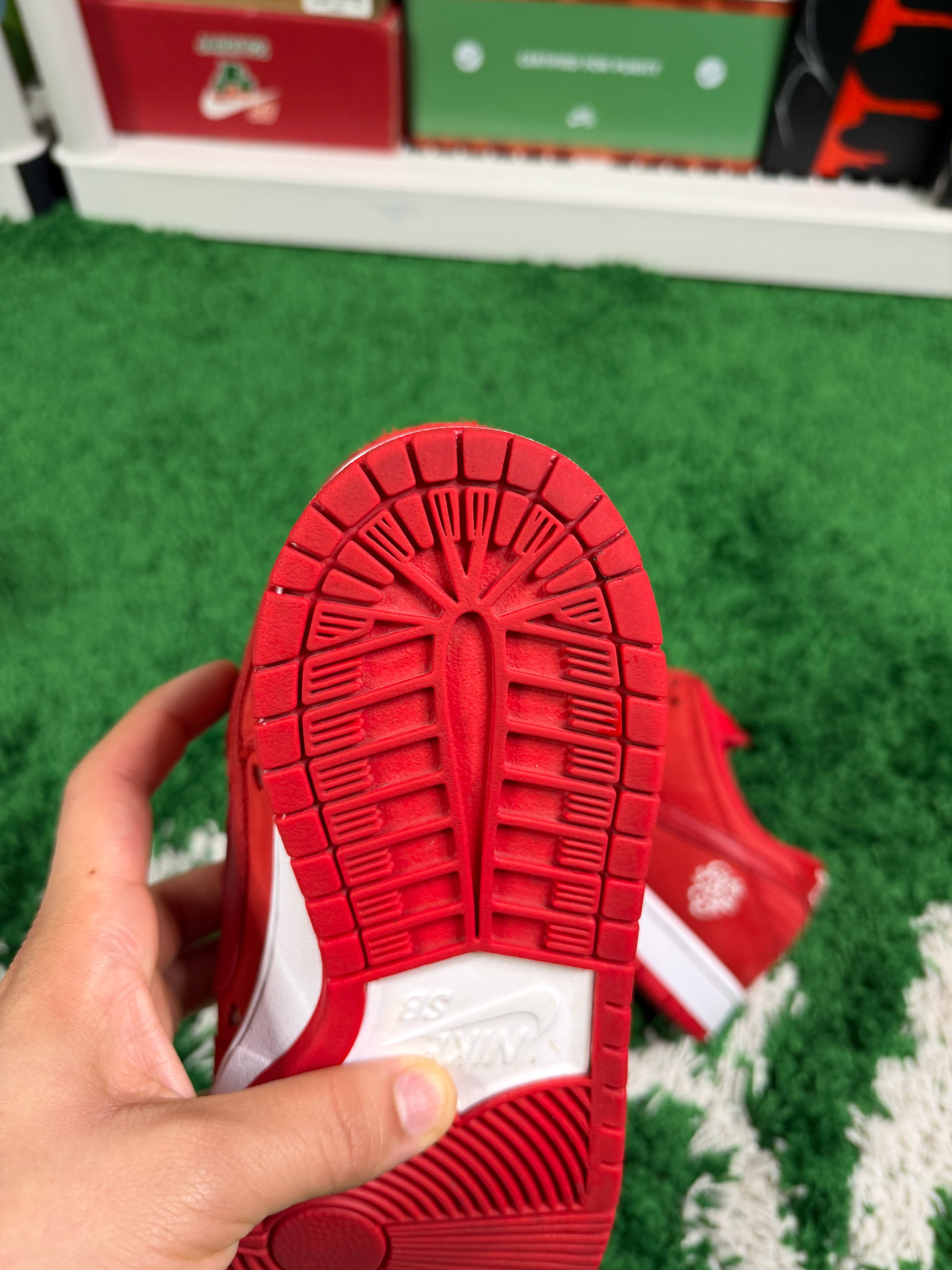 Nike Sb Girls Don't Cry - Size 9