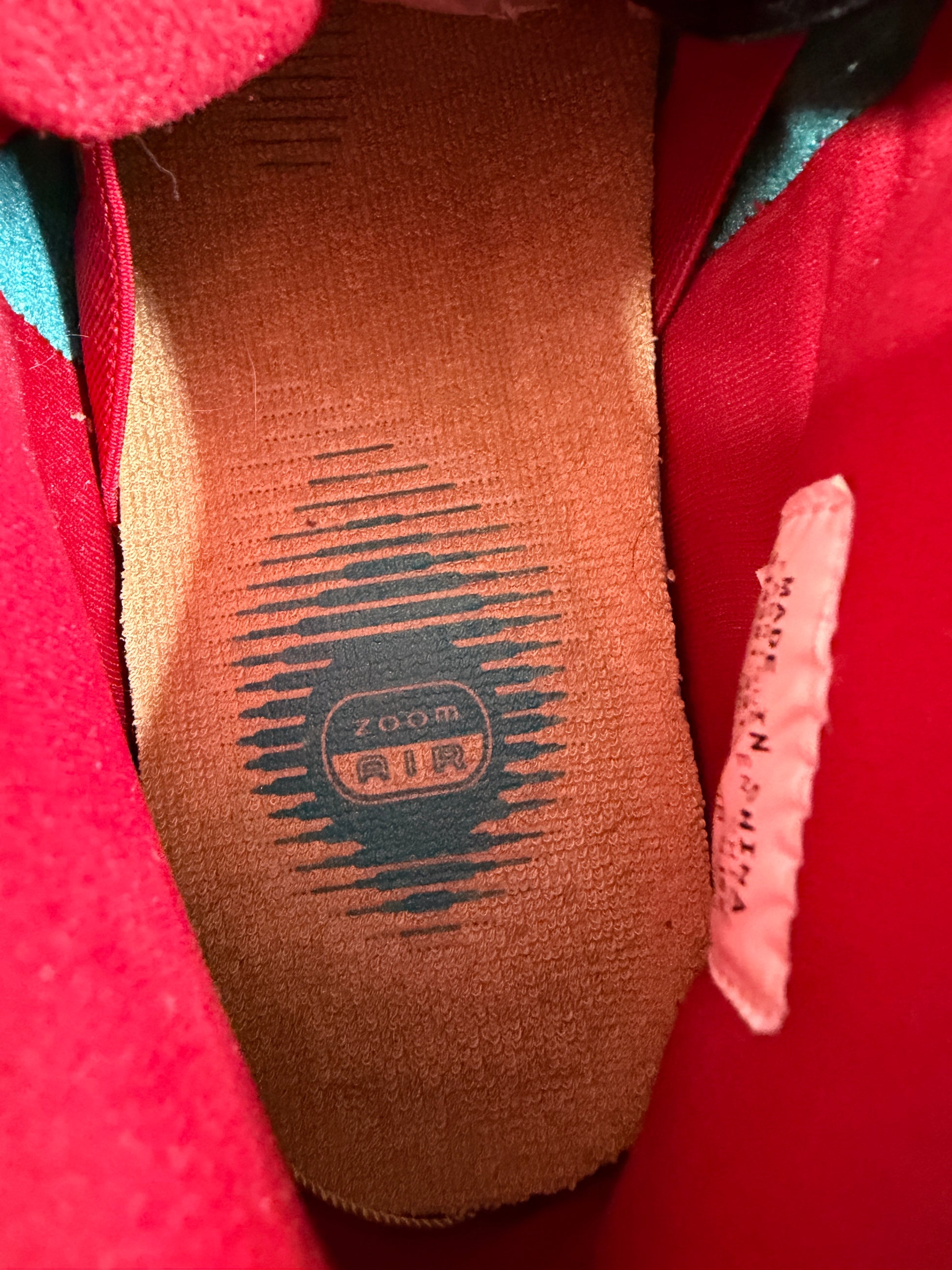 Nike Sb Peacock Sample - Size 9