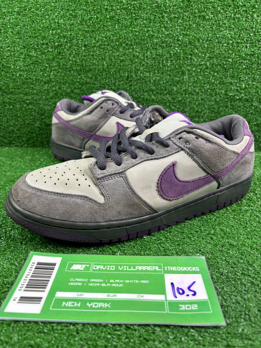 Nike Sb Purple Pigeons - Size 10.5