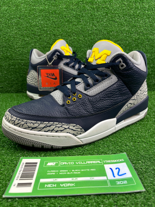 Air Jordan 3 Michigan Wolverines PE Sample - Size 12