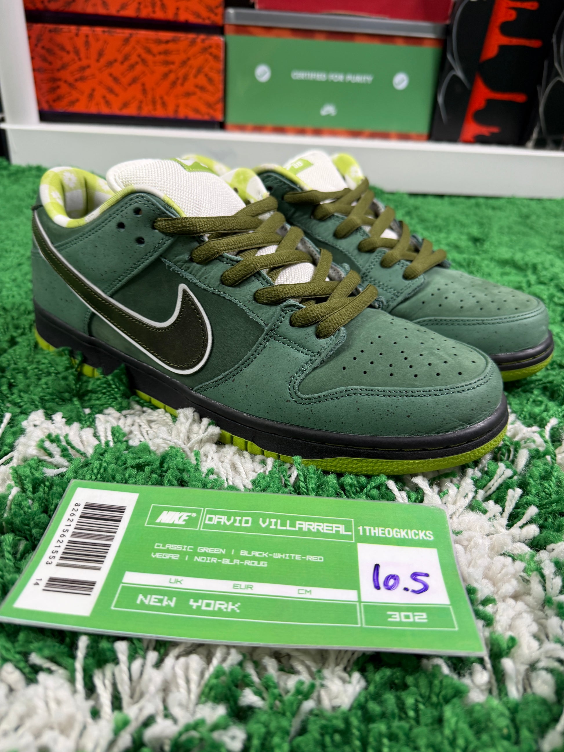 Nike Sb Green Lobsters Special Box - Size 10.5