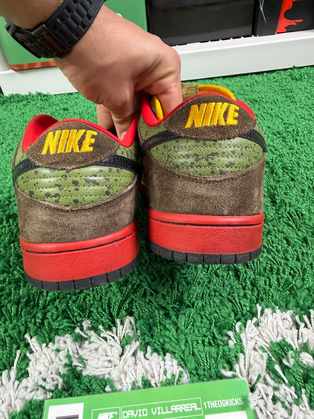 Nike Sb Asparagus - Size 10.5