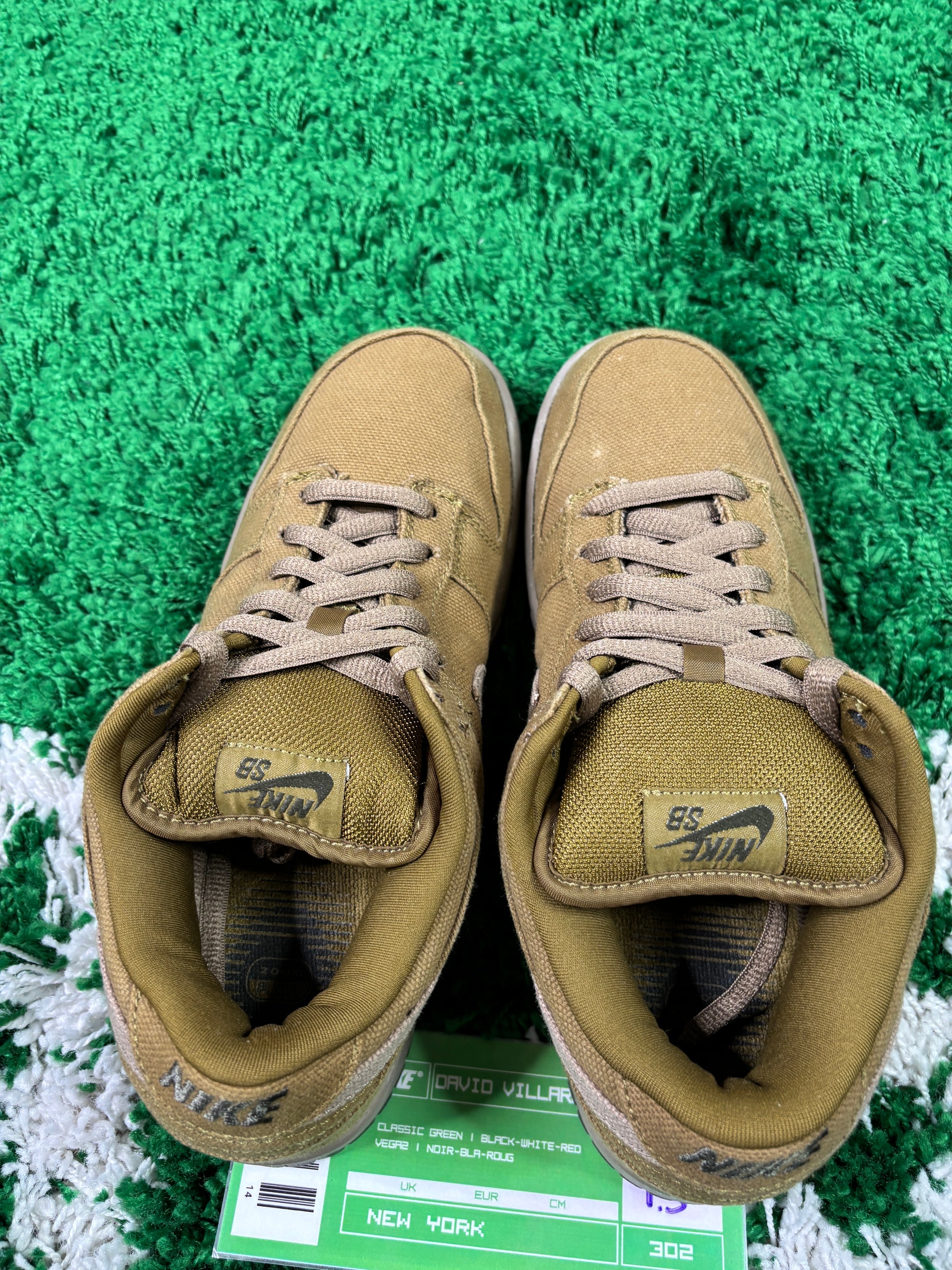 Nike Sb Spanish Moss - Size 9.5