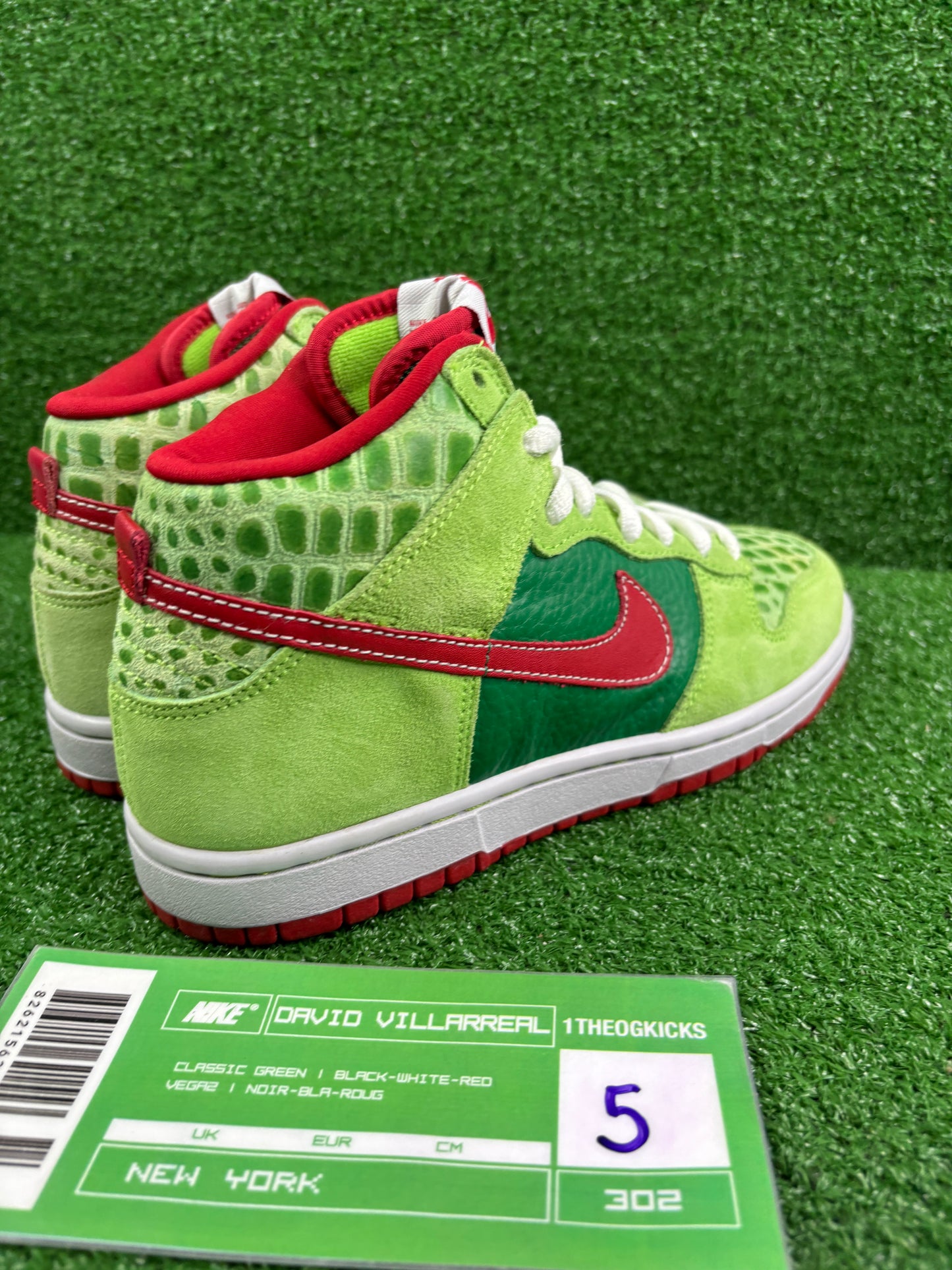 Nike Sb Dr. Feel Goods- Size 5