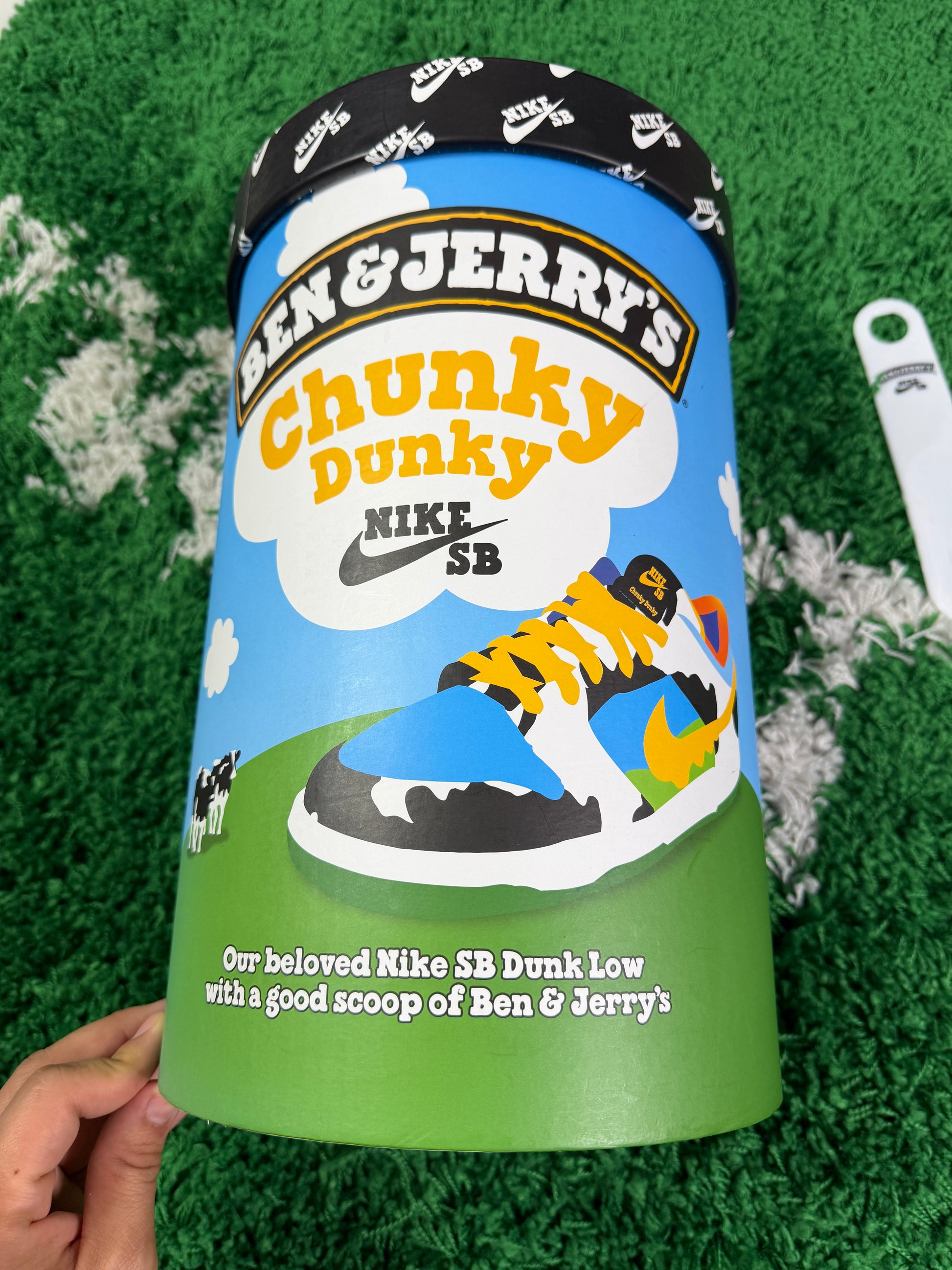 Nike Sb Chunky Dunky Special Box - Size 9