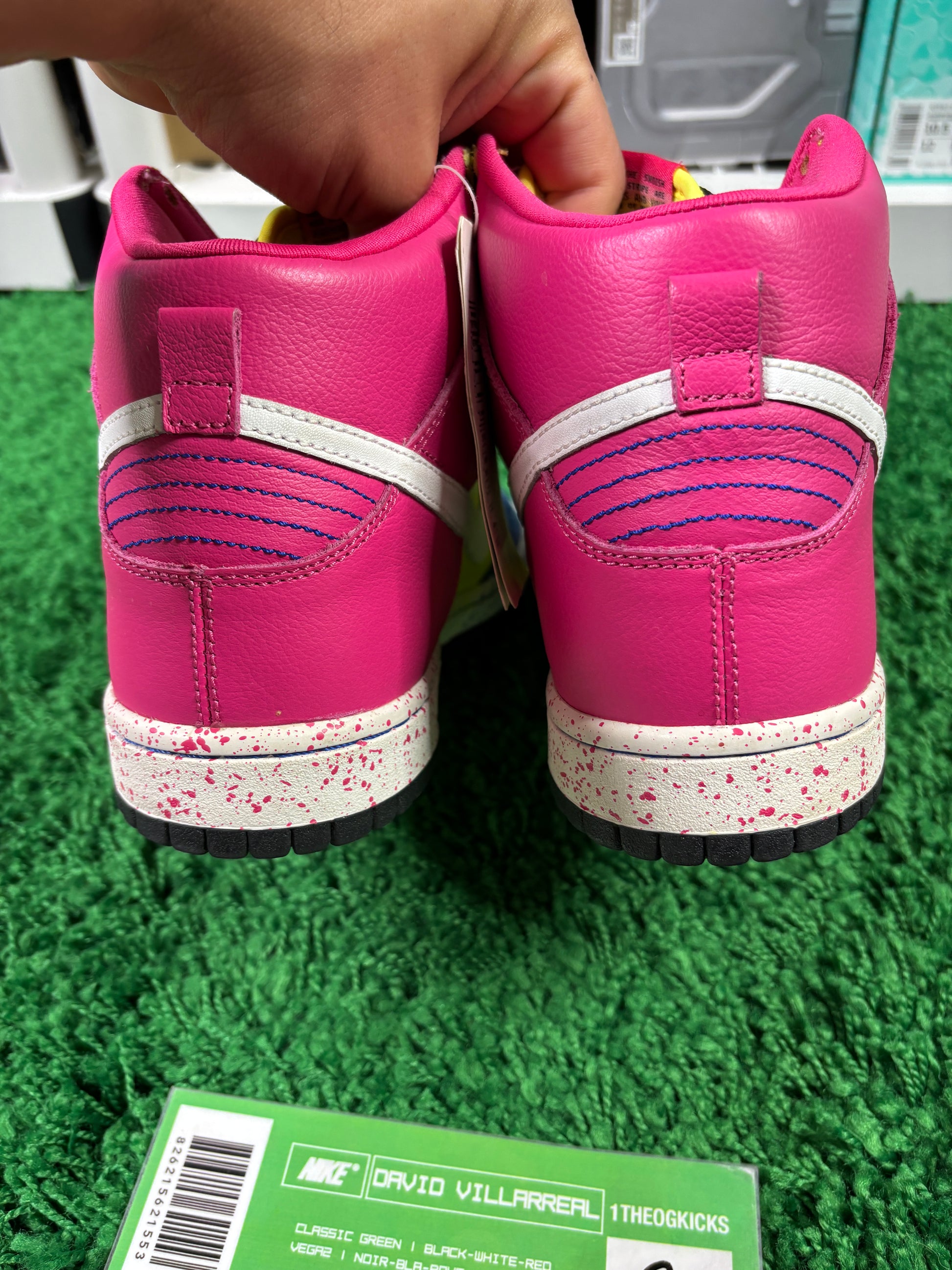 Nike Sb Ron Cameron Sample Set - Size 9