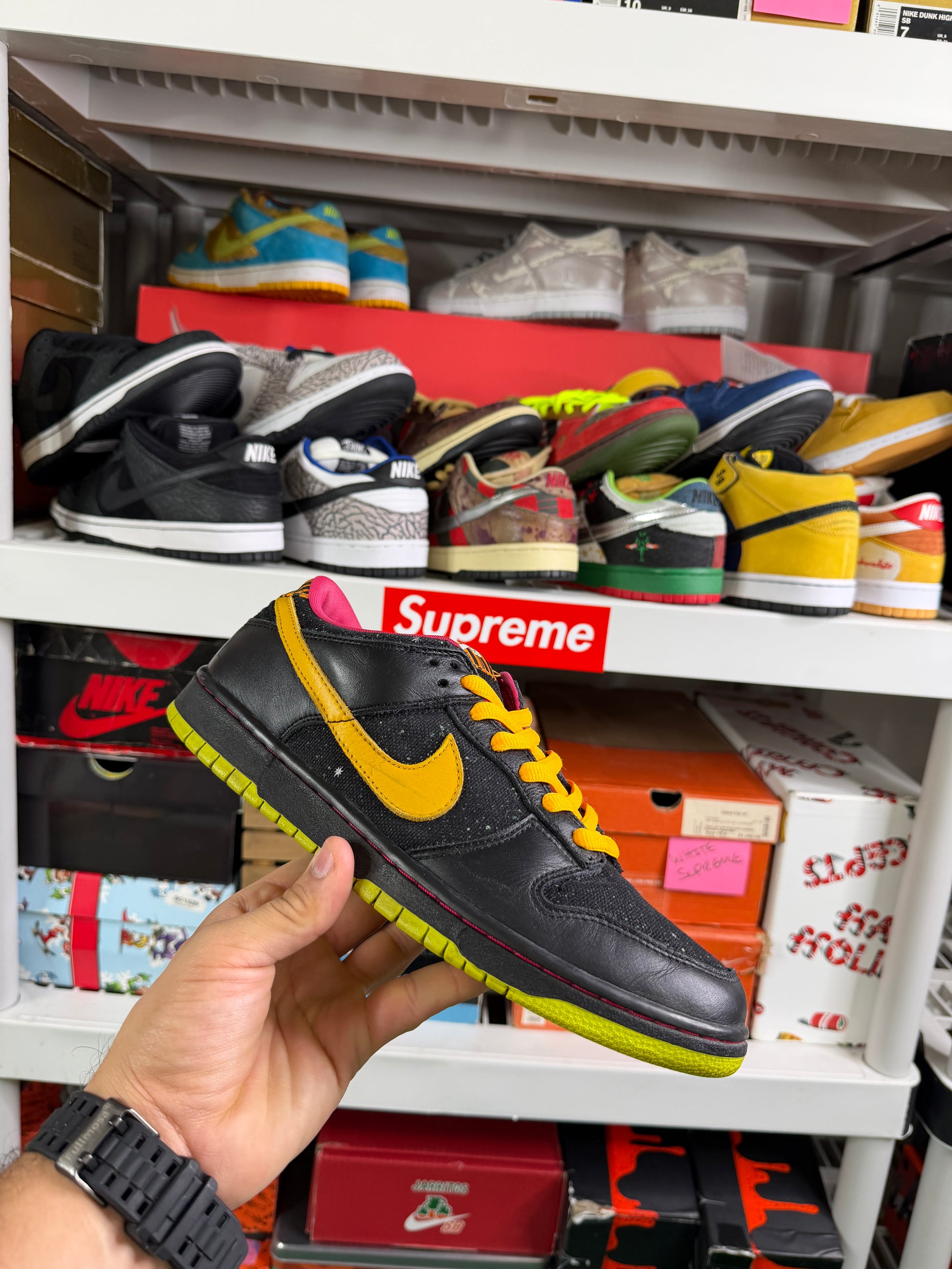 Nike Sb Space Tigers - Size 9.5