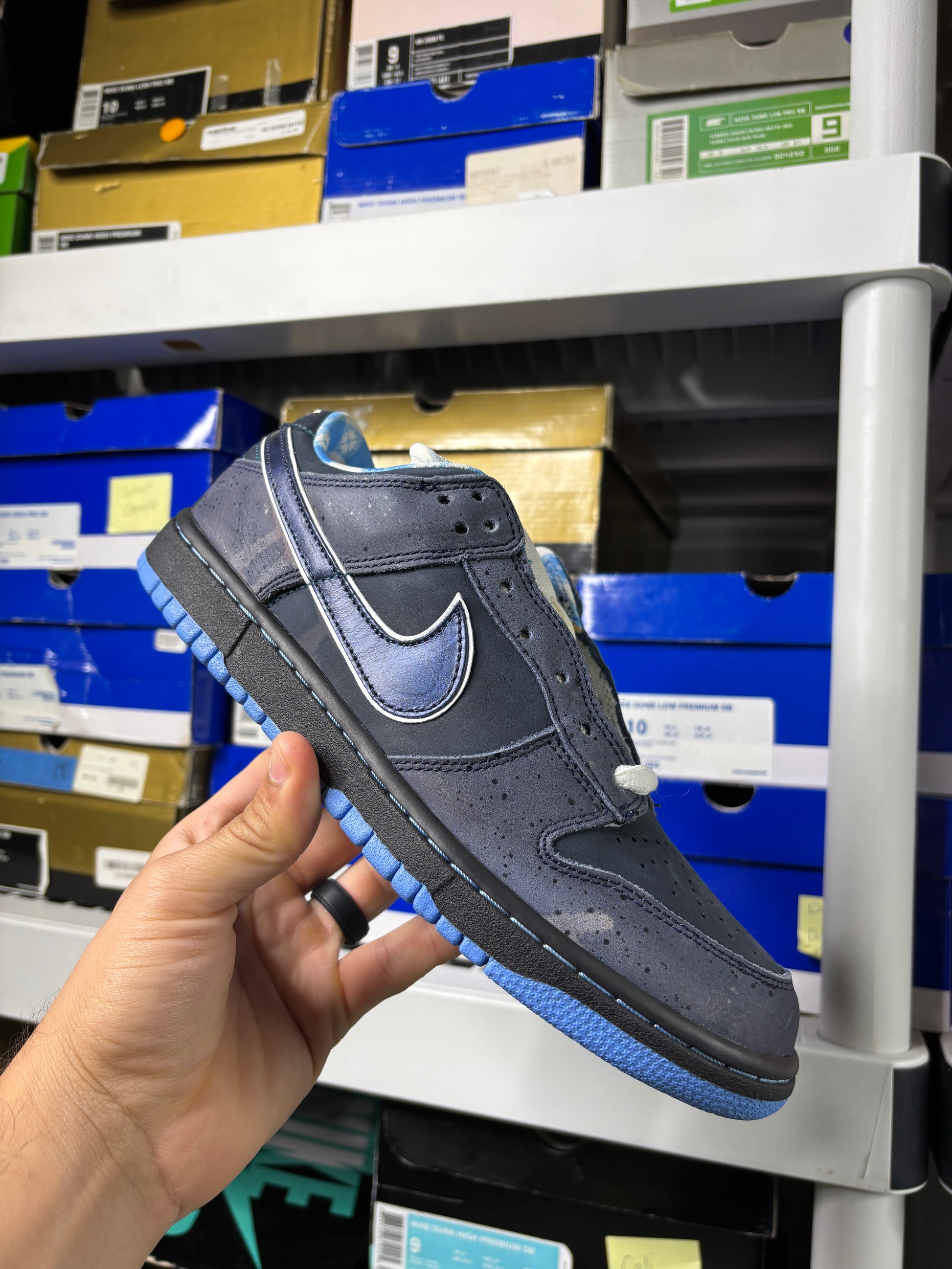 Nike Sb Blue Lobsters - Size 8