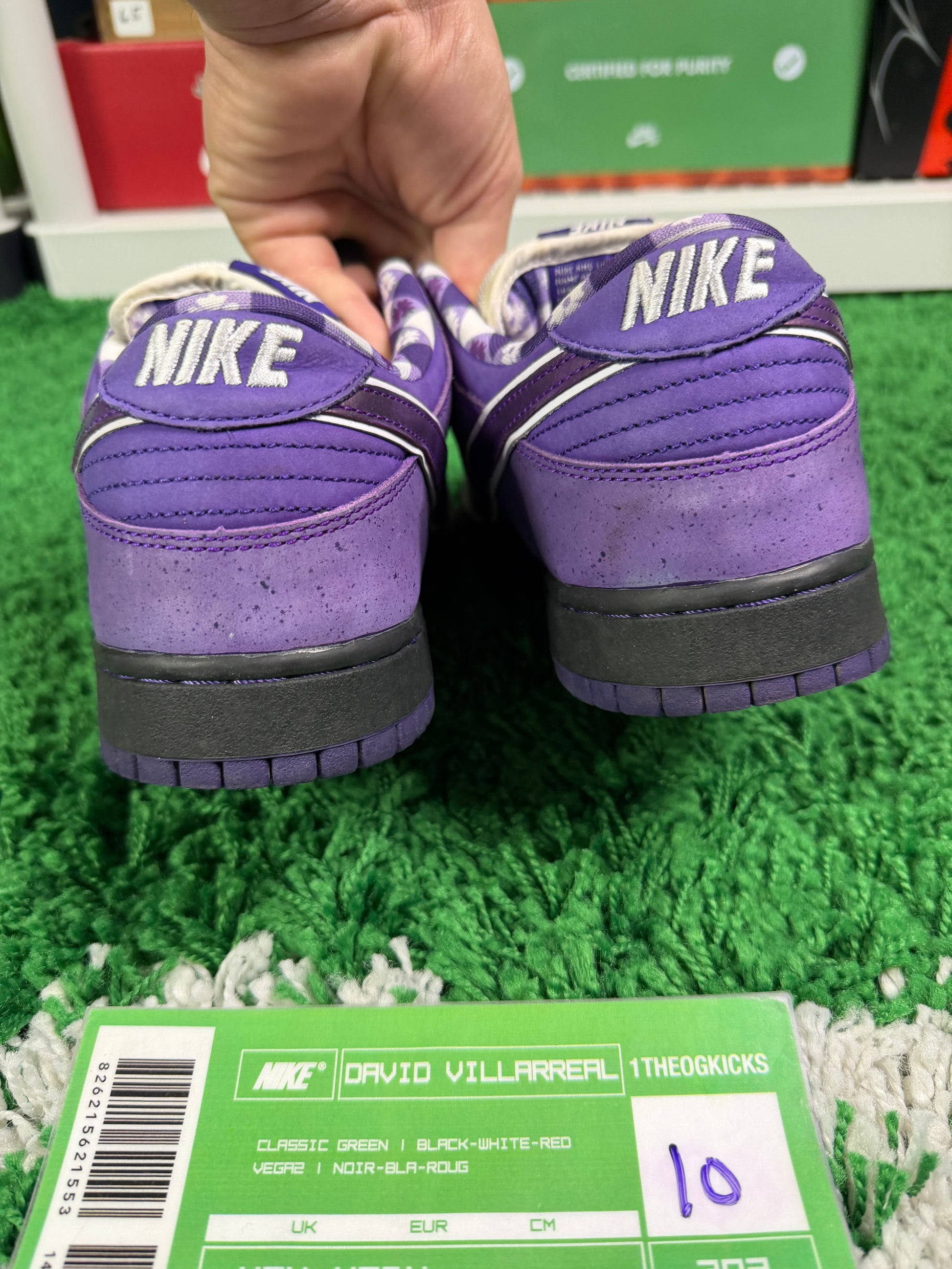 Nike Sb Purple Lobsters - Size 10